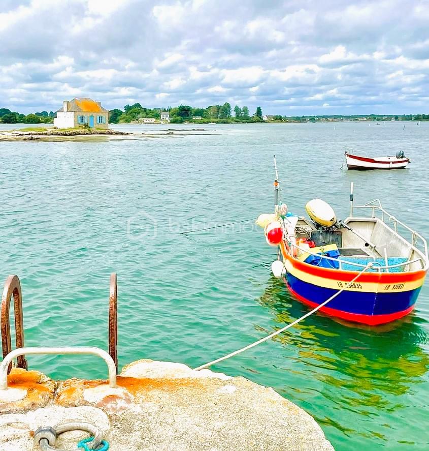 IMG_0113 (1).JPG1.JPG