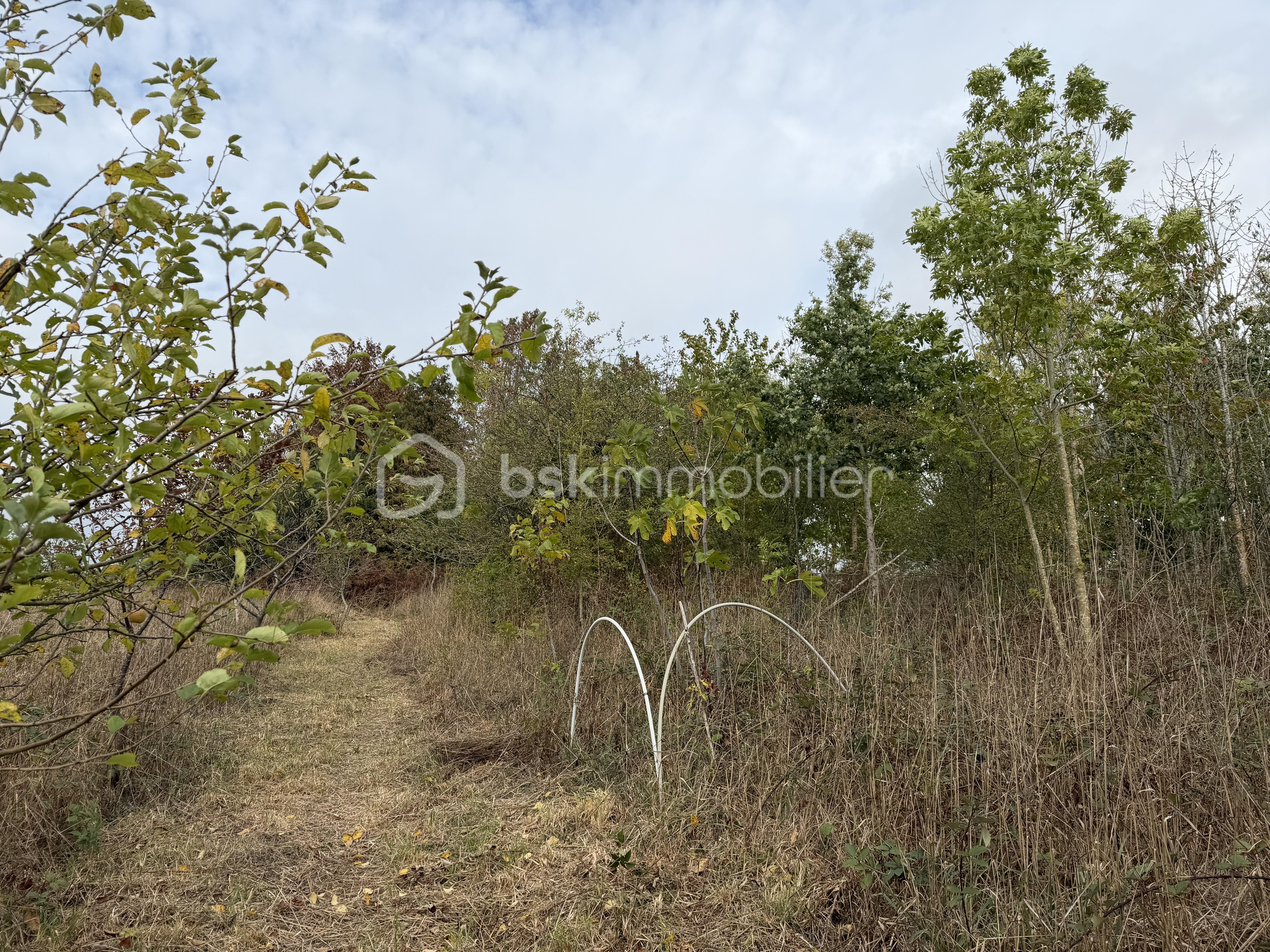IMG_0614.jpeg