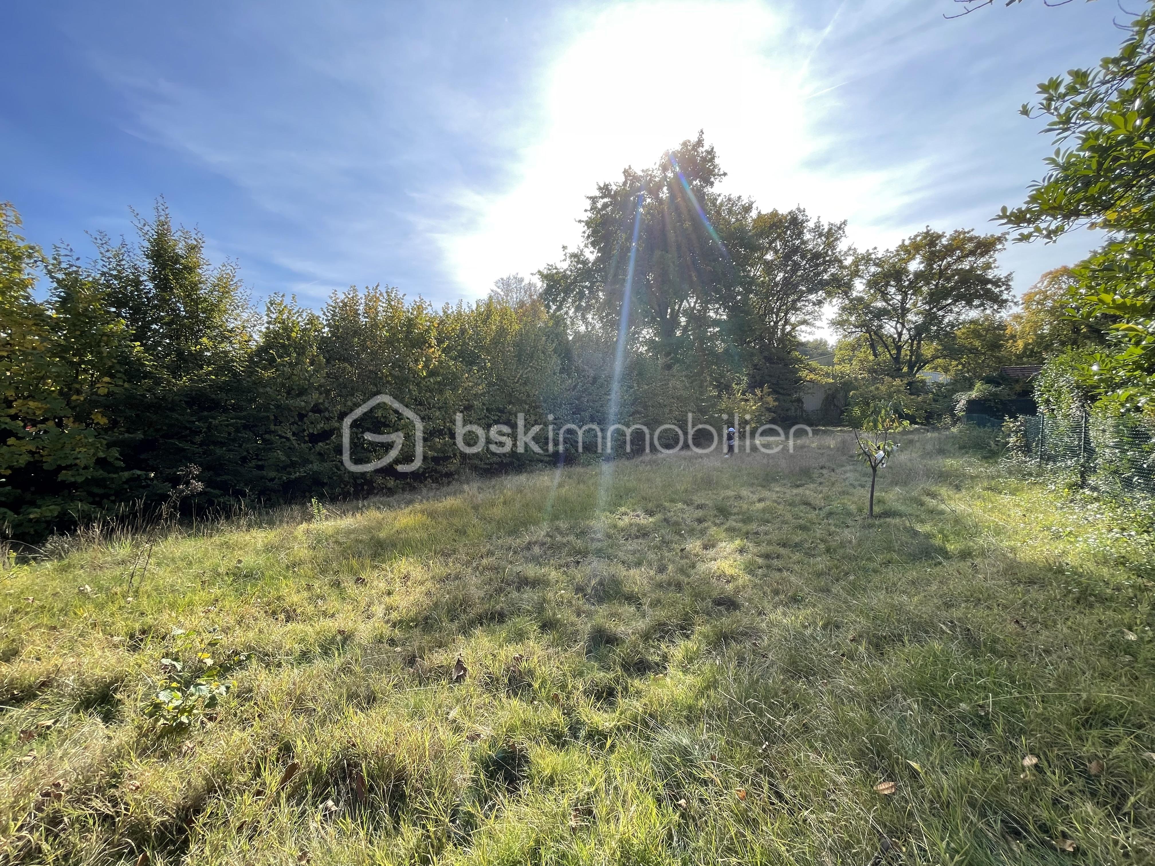 Maison de 48,96 m² - IMG_9770.JPG