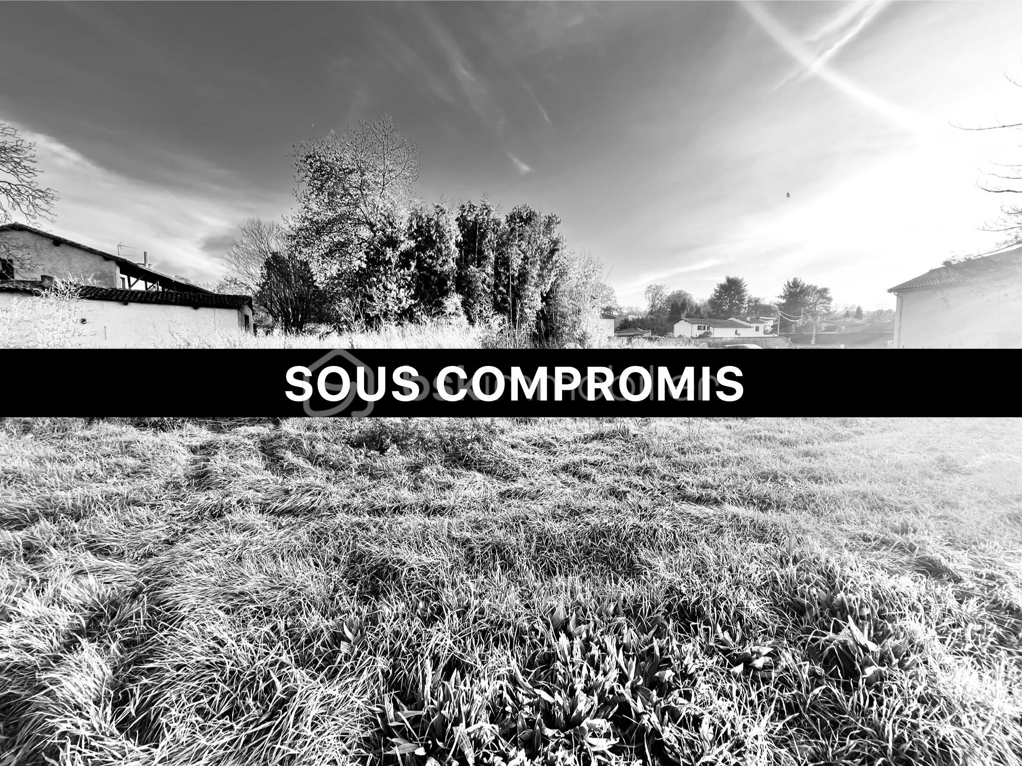Terrain de 505 m² - IMG_0794 4.jpg