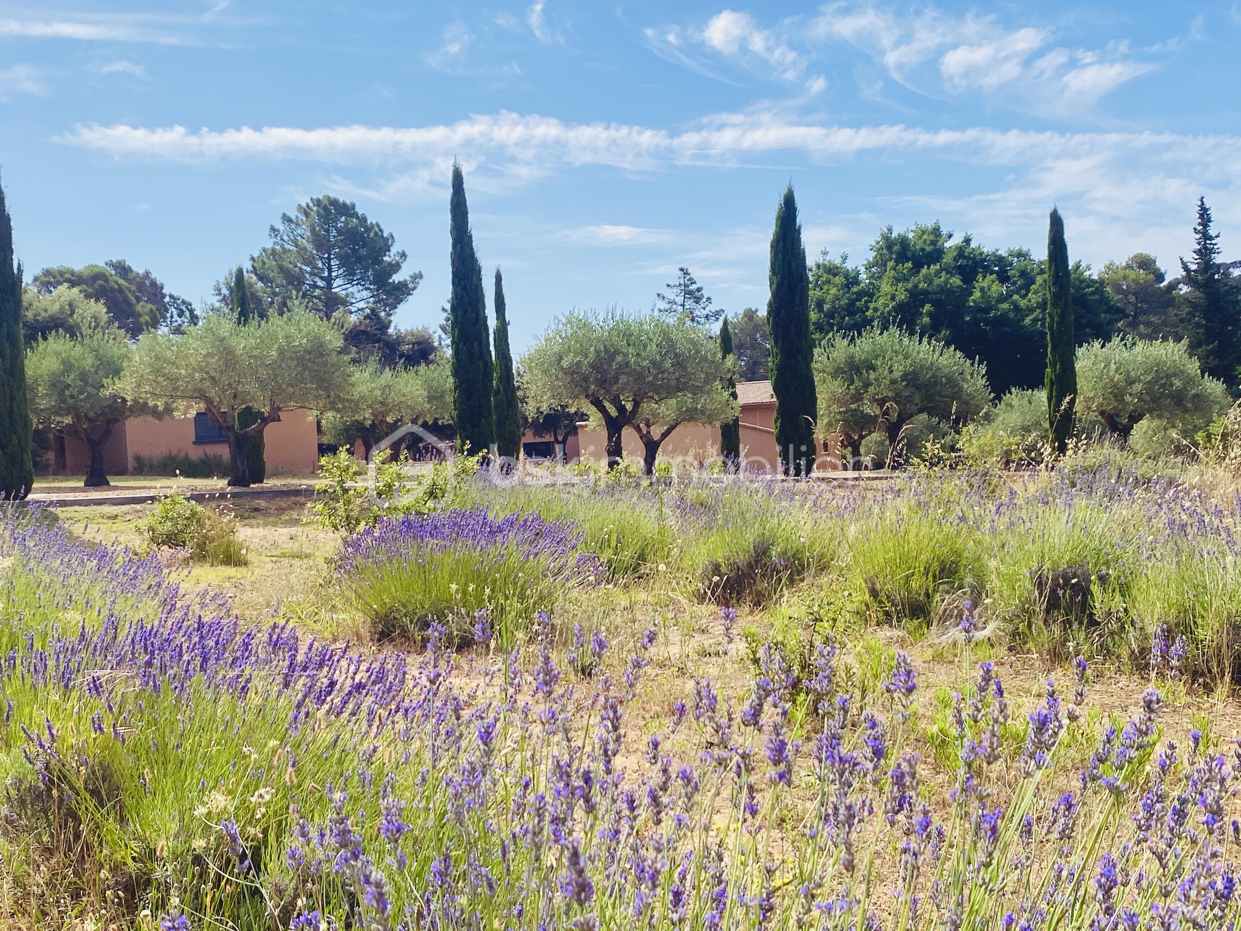 Maison de 237 m² - IMG_8272.jpg