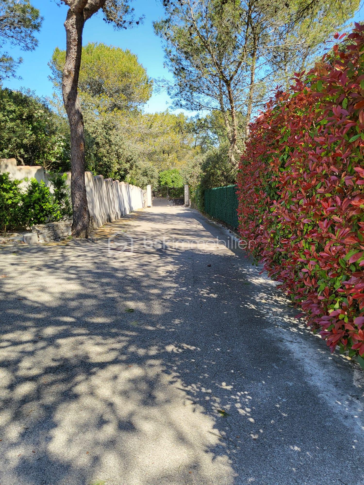 PHOTO-2026-04-02-13-44-57 (4).jpg