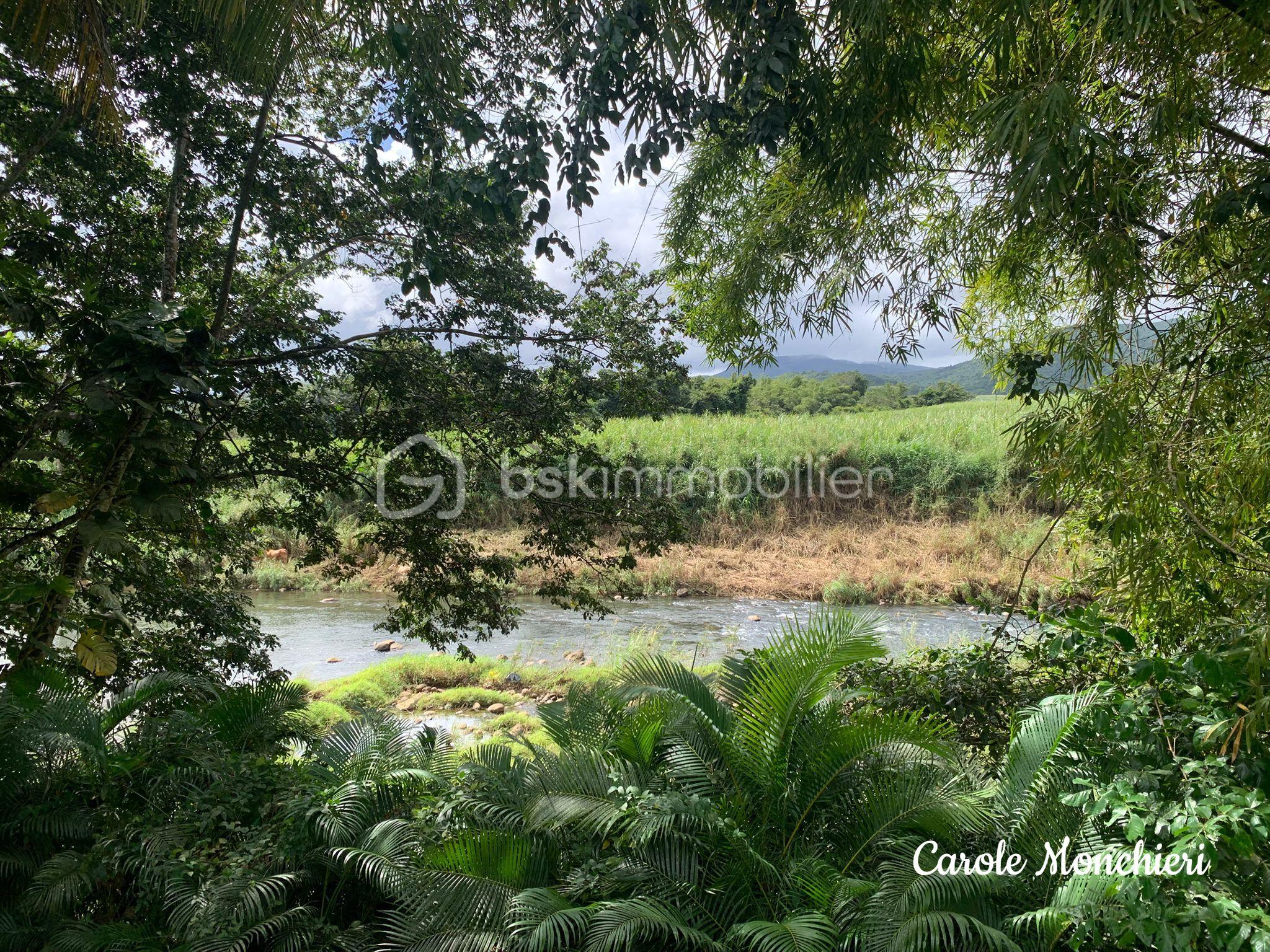 WhatsApp Image 2026-01-16 at 17.53.23.jpg