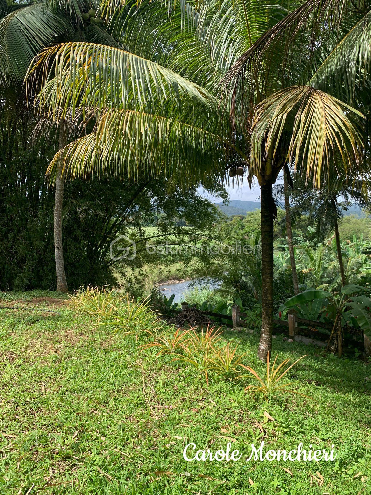 WhatsApp Image 2026-01-16 at 17.53.23 (3).jpg