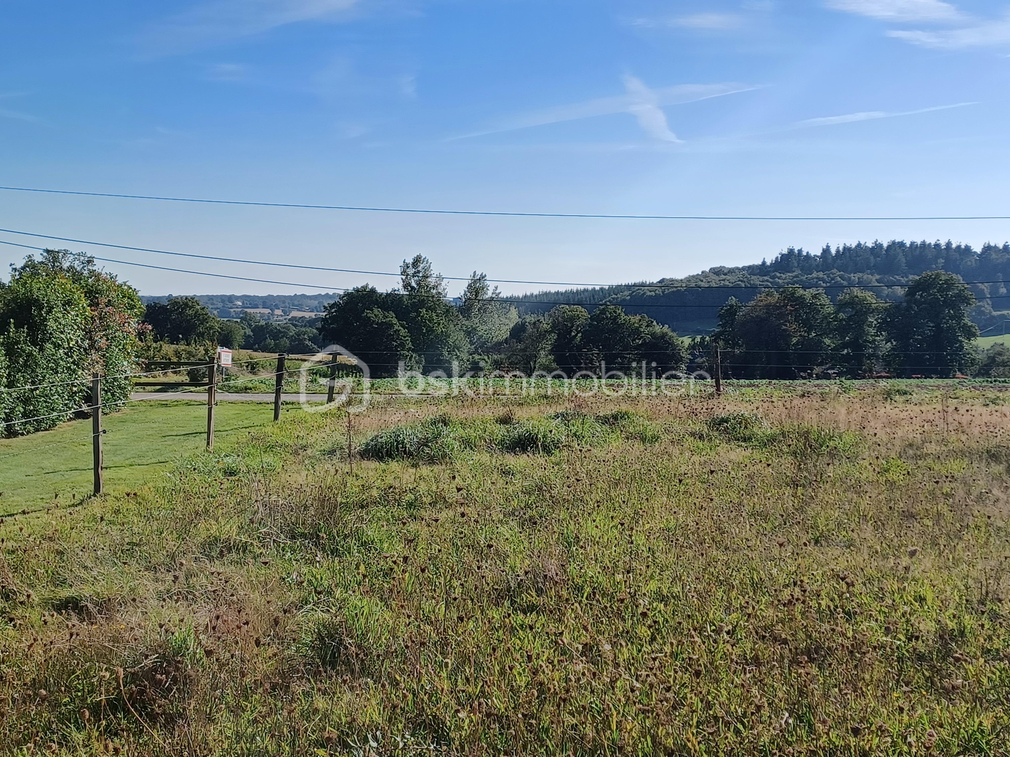Terrain de 1 368 m² - 20230924_164619.jpg