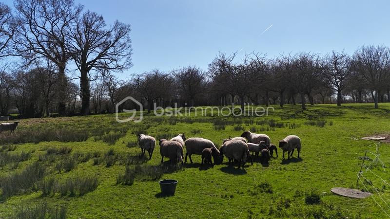 Maison traditionnelle de 167 m² - DJI_20250331155805_0040_D.JPG