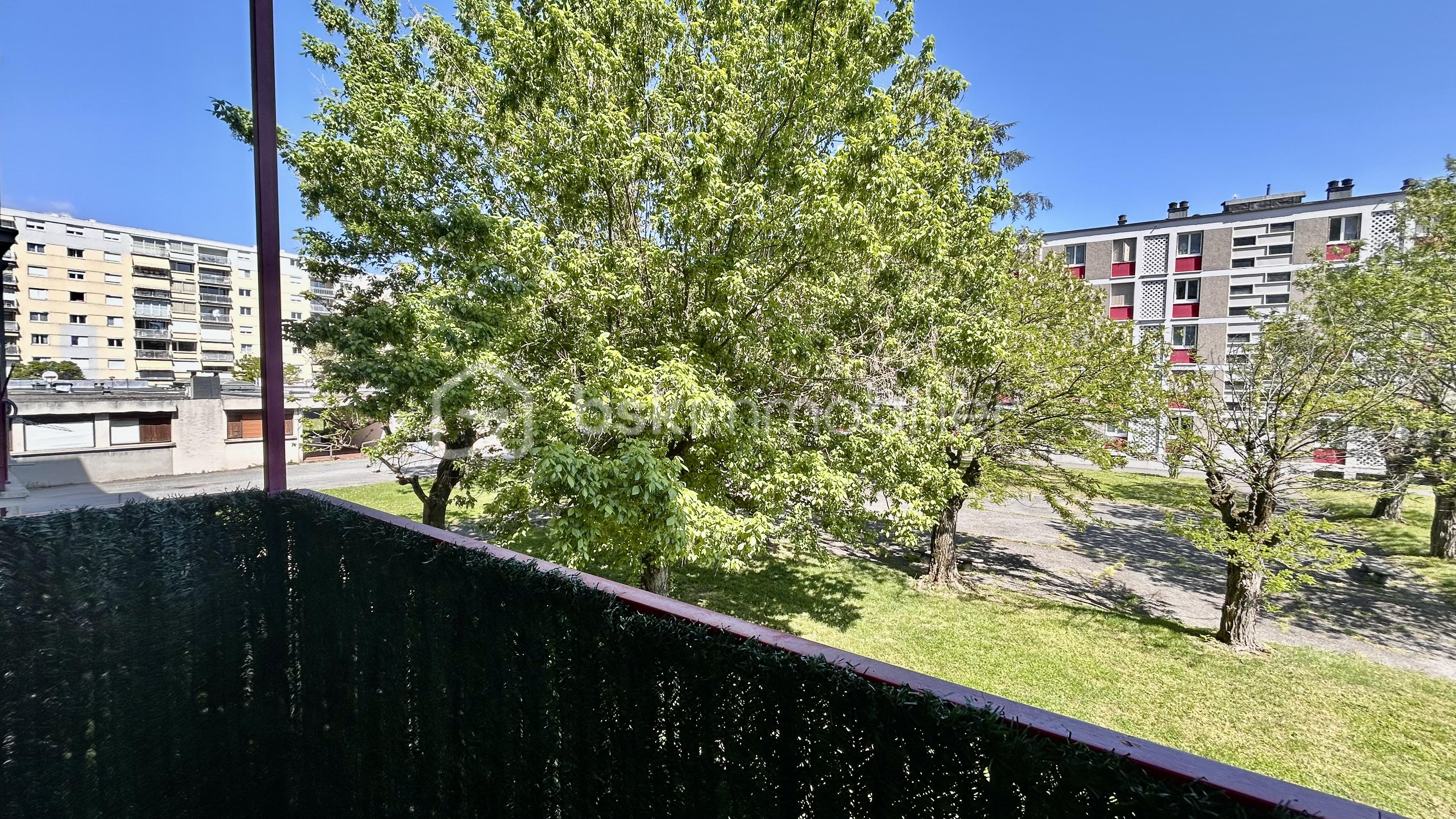 IMG_5226.jpeg