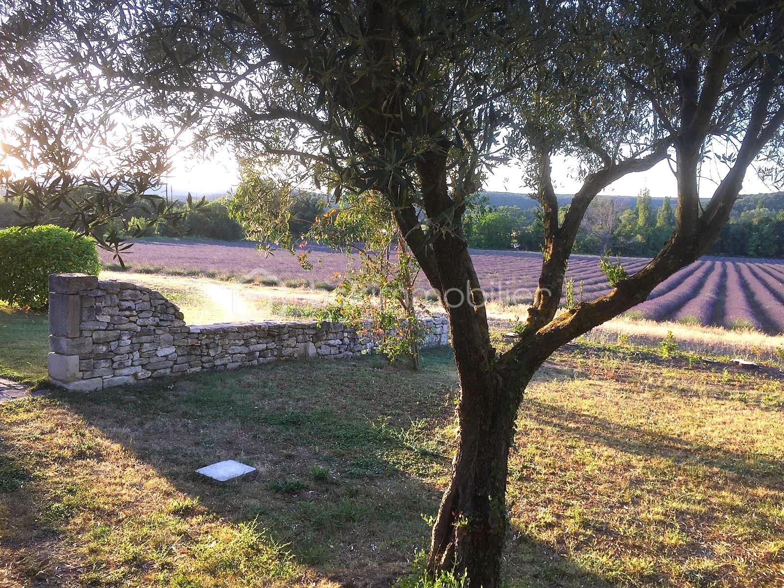 GRIGNAN A VENDRE MAS PROVENCAL EMILIE BROCHE 0629326964 (2).jpeg