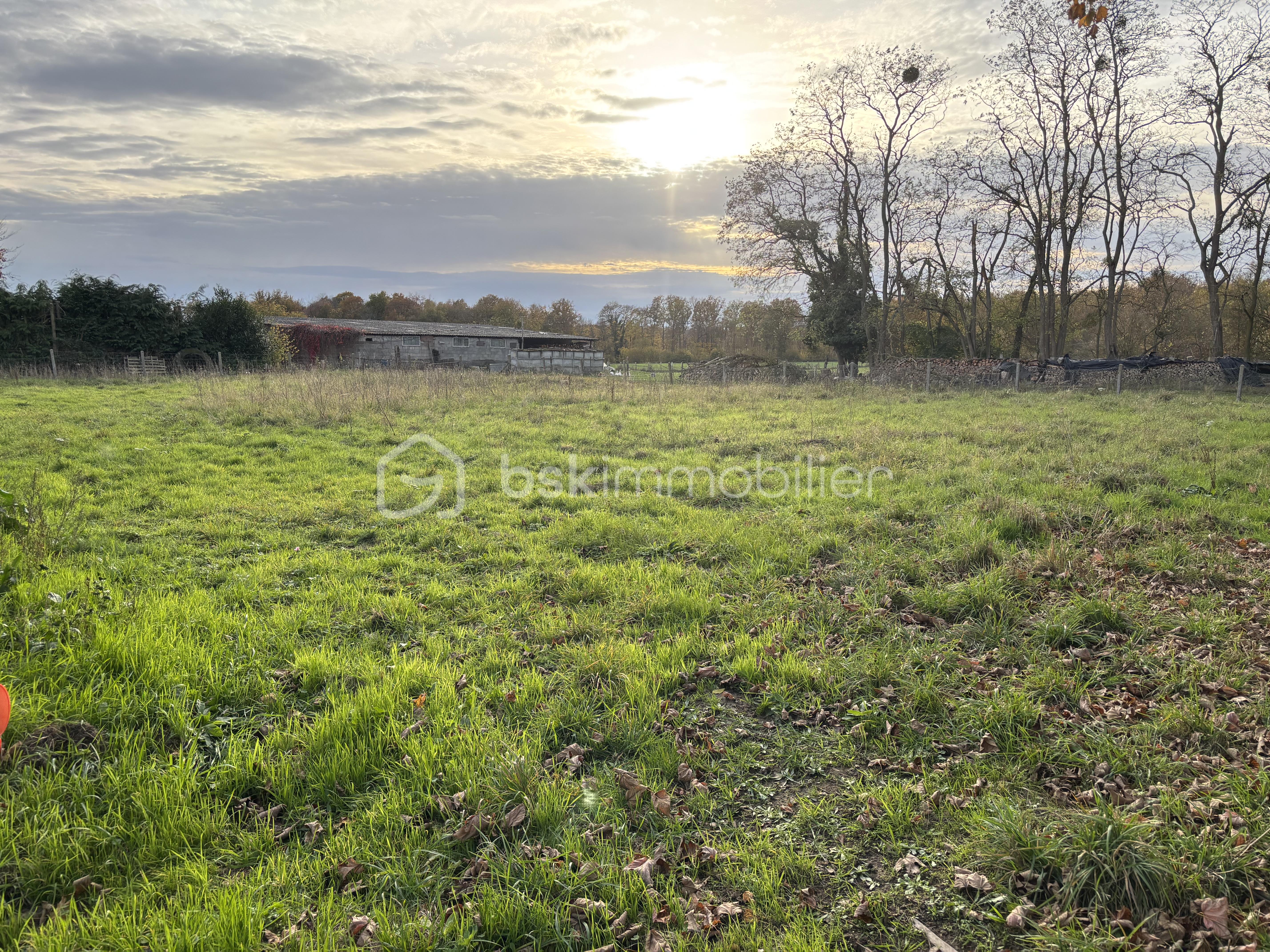 Terrain de 1 300 m² - image00003.jpeg