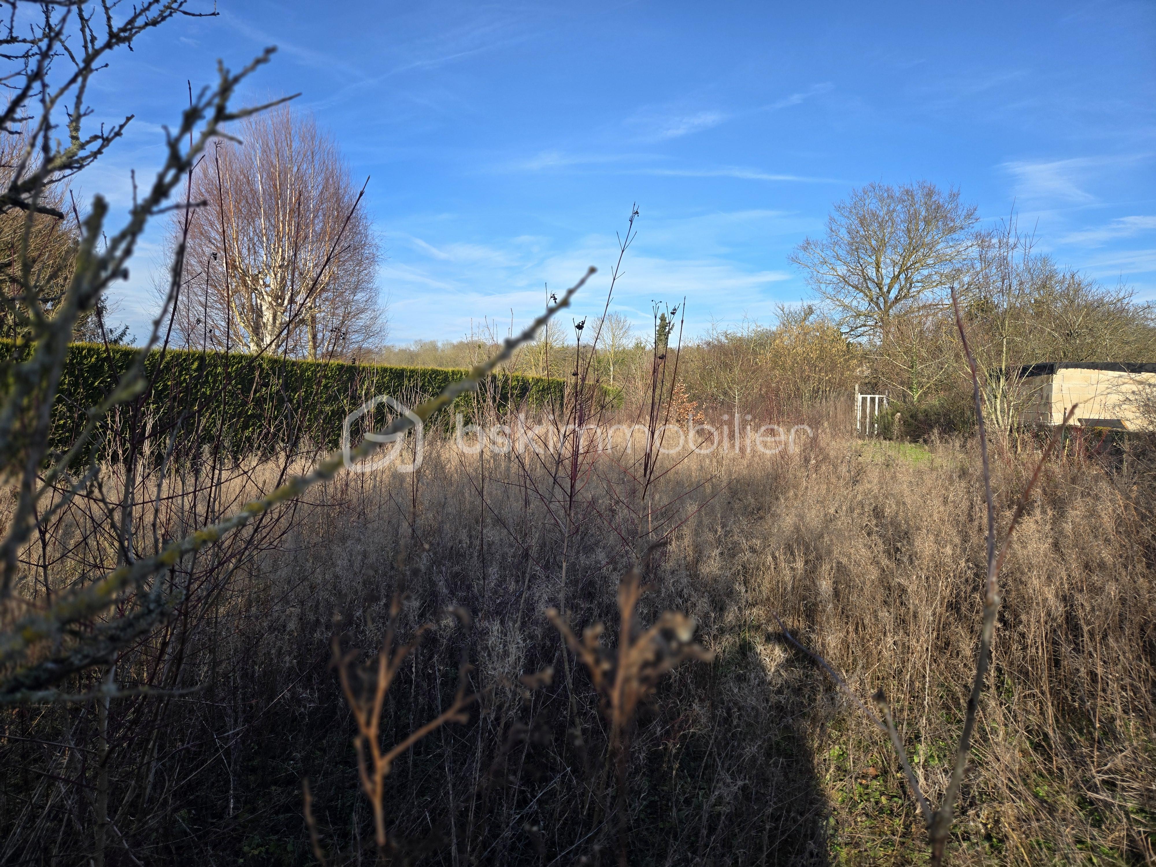 Terrain de 763 m² - 20260121_145336.jpg