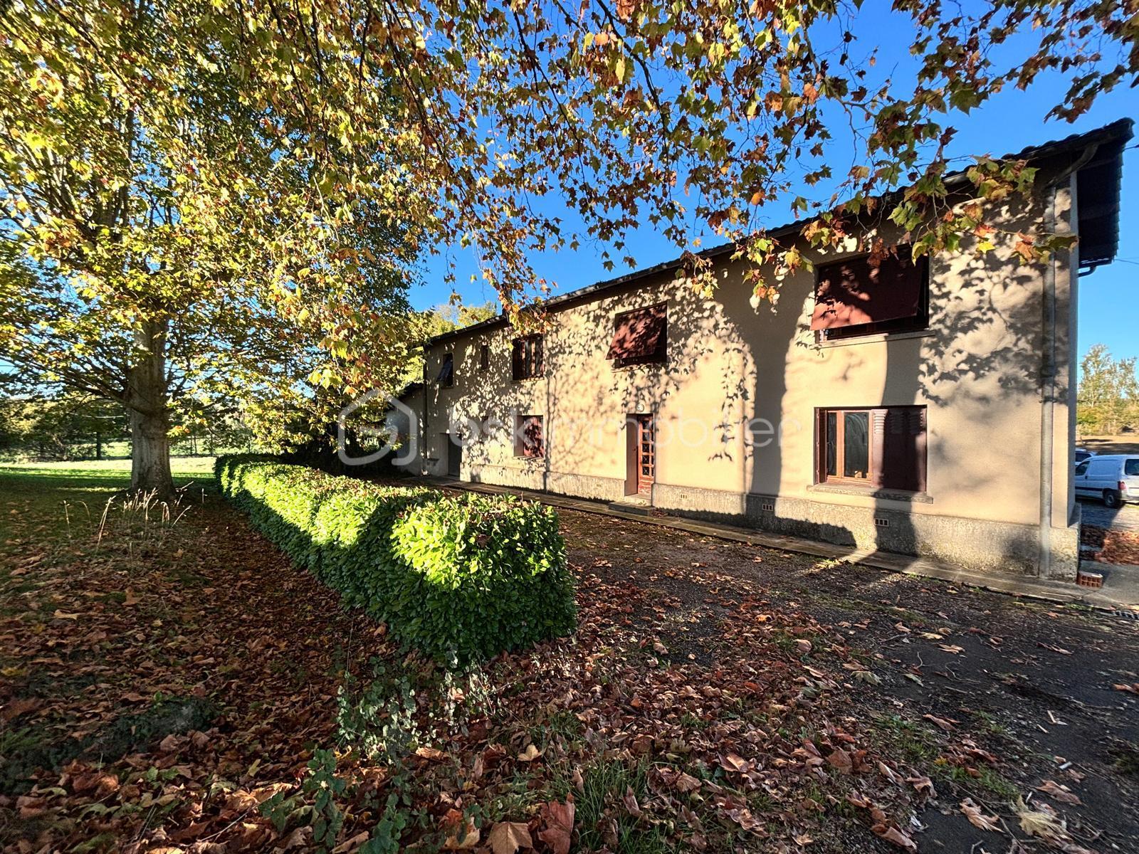 WhatsApp Image 2026-03-04 at 13.19.59.jpeg