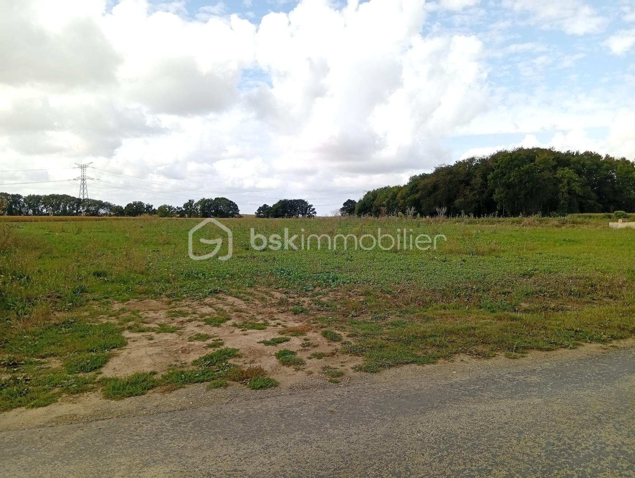 Lotissement de 659 m² - 1000001538.jpg