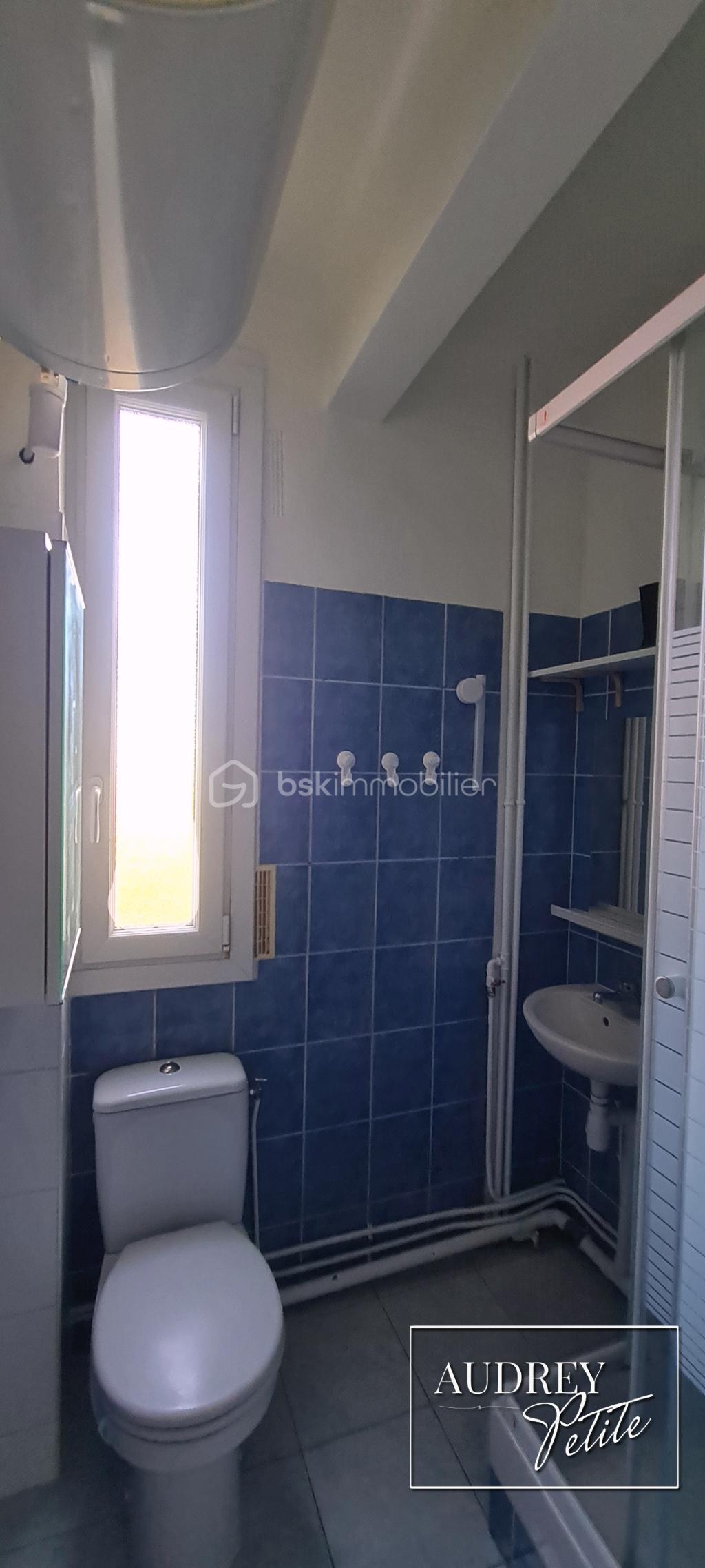 ACHAT-VENTE-IMMOBILIER Maisons-Alfort-ALFORTVILLE-SALLE-D-EAU-T2.jpg