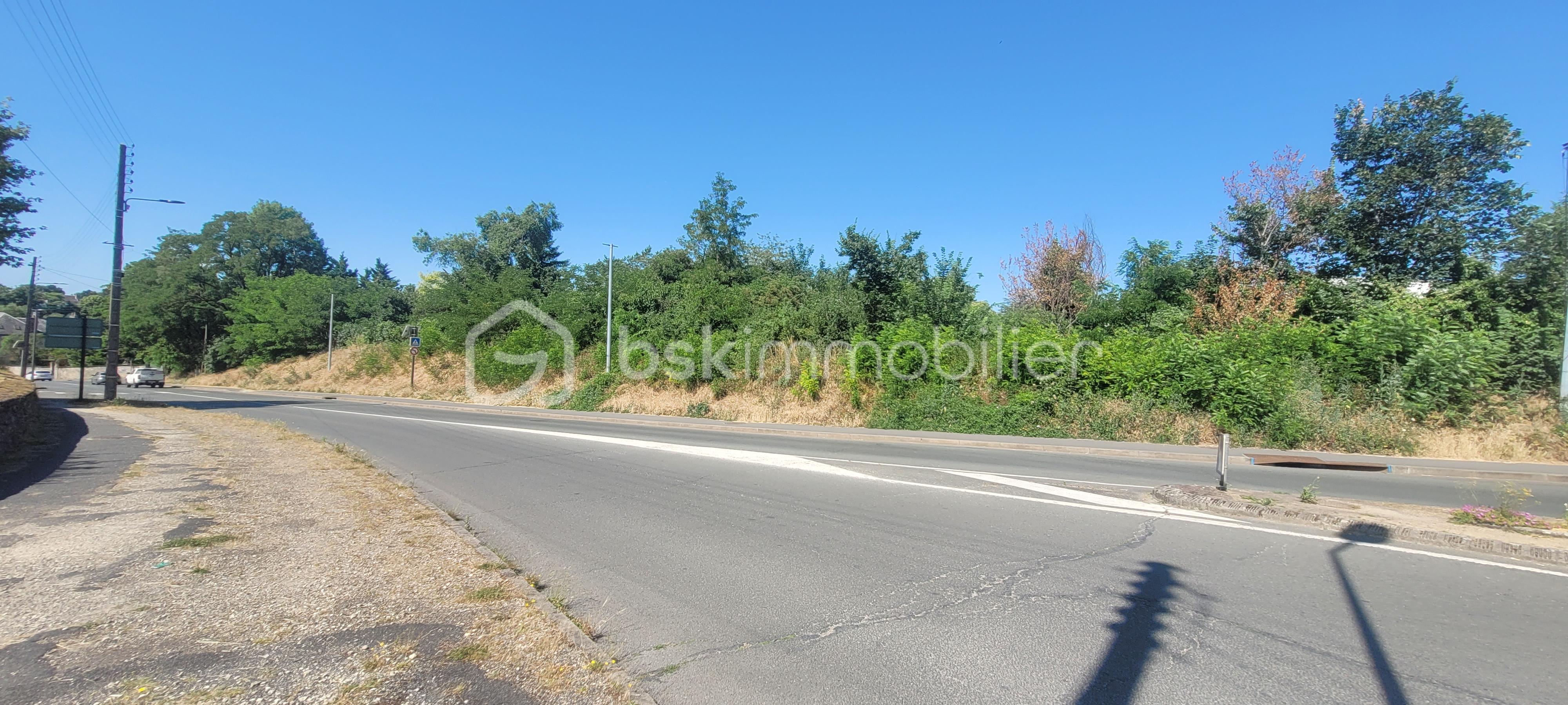 Lotissement de 3 628 m² - PHOTO TERRAIN.jpg