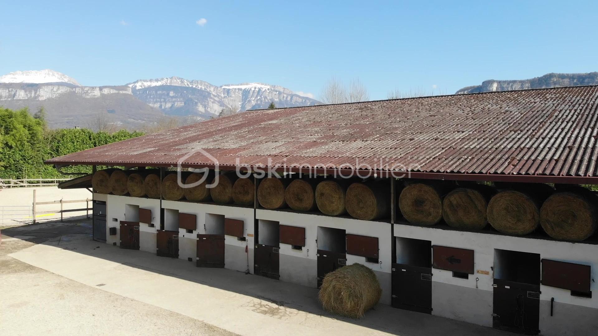 DJI_0161 - frame at 2m51s.jpg