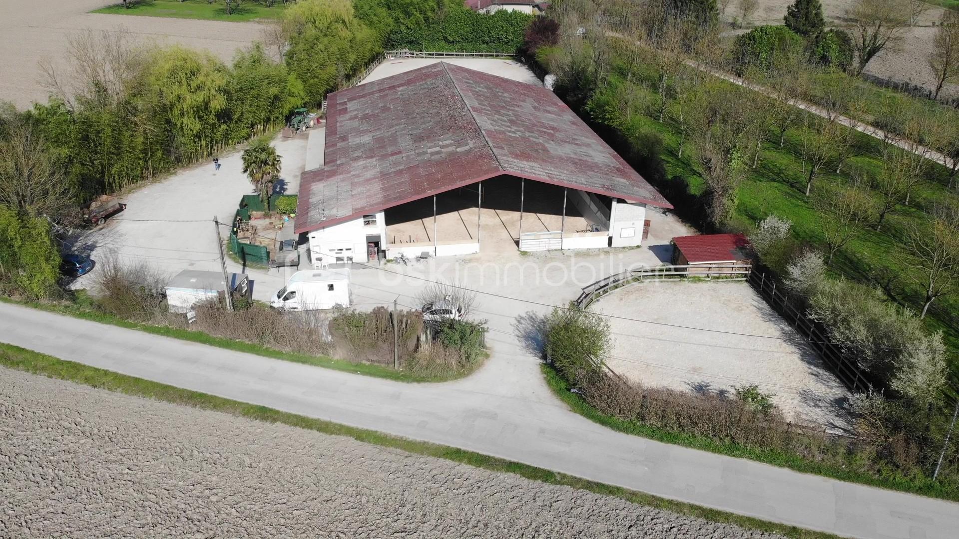 DJI_0158 - frame at 0m37s.jpg