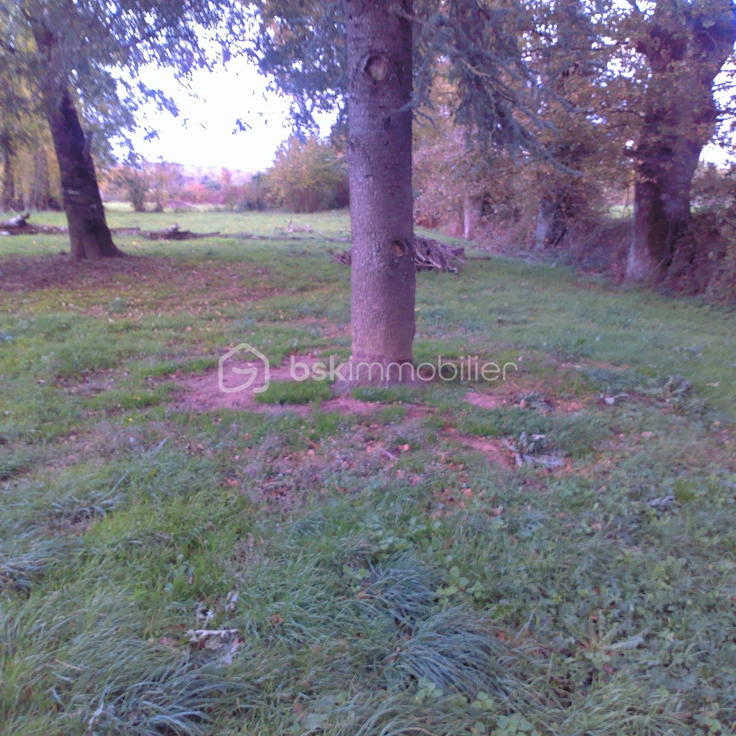 Maison de 160 m² - 2025-10-27-17-27-36.jpg