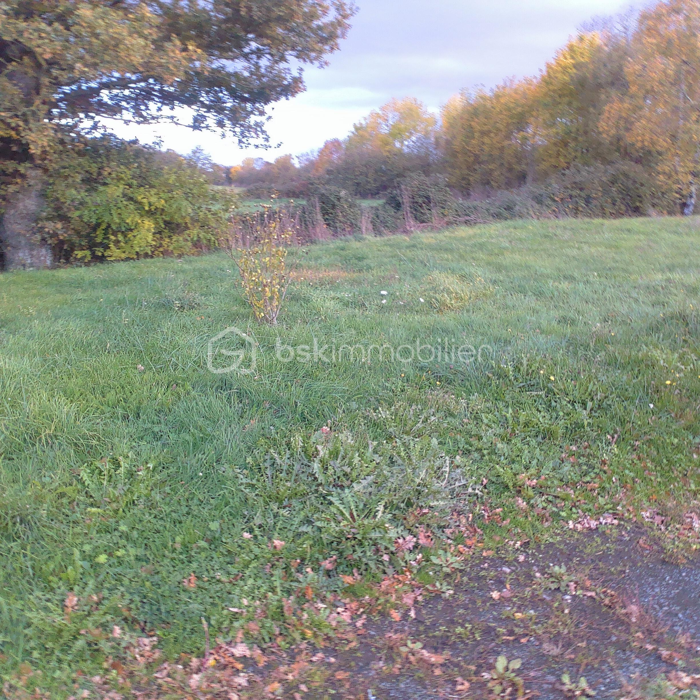 Maison de 160 m² - 2025-10-27-17-27-16.jpg