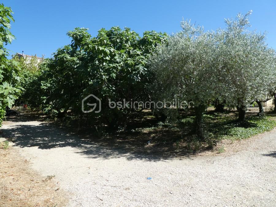 Lotissement de 861 m²