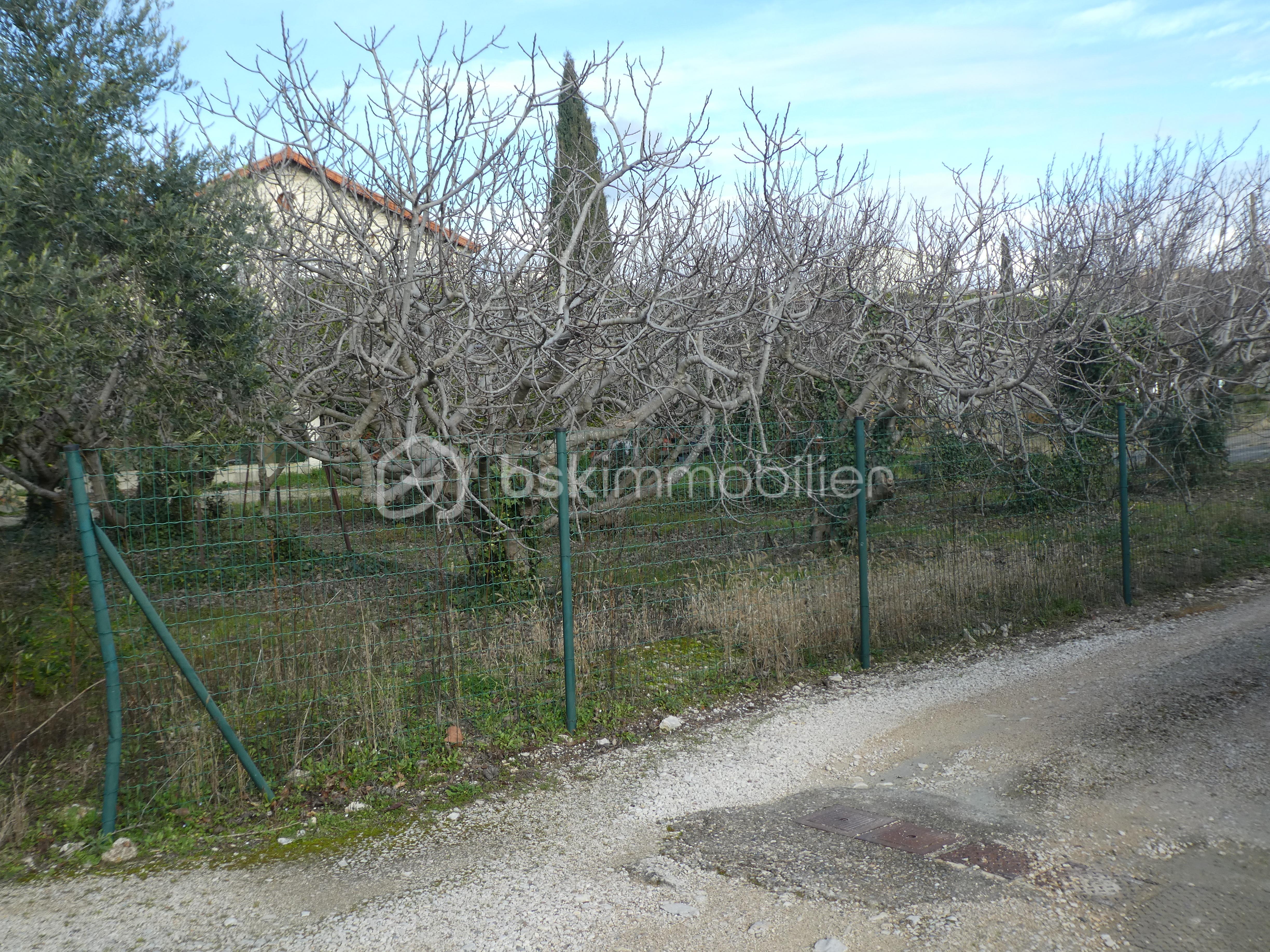 Lotissement de 861 m² - P1000842.JPG