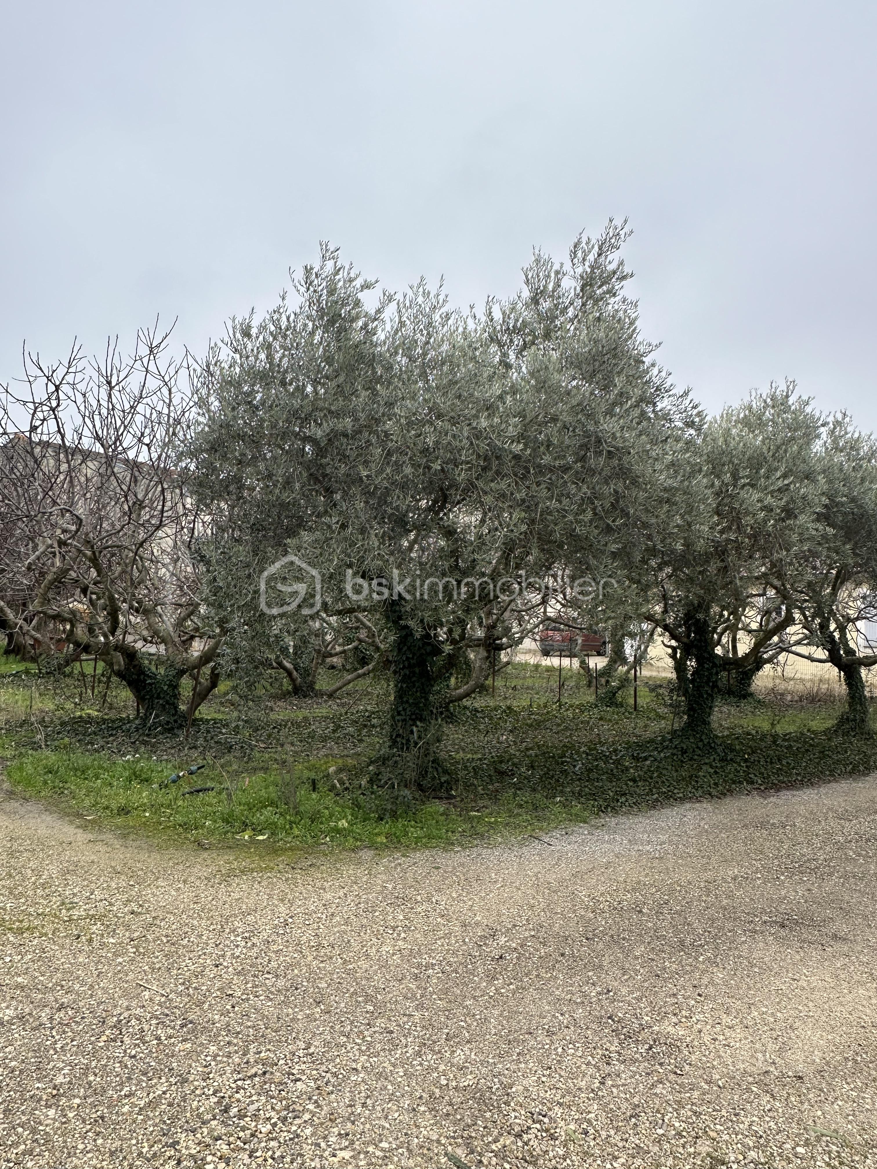 Lotissement de 861 m² - IMG_1342.jpeg