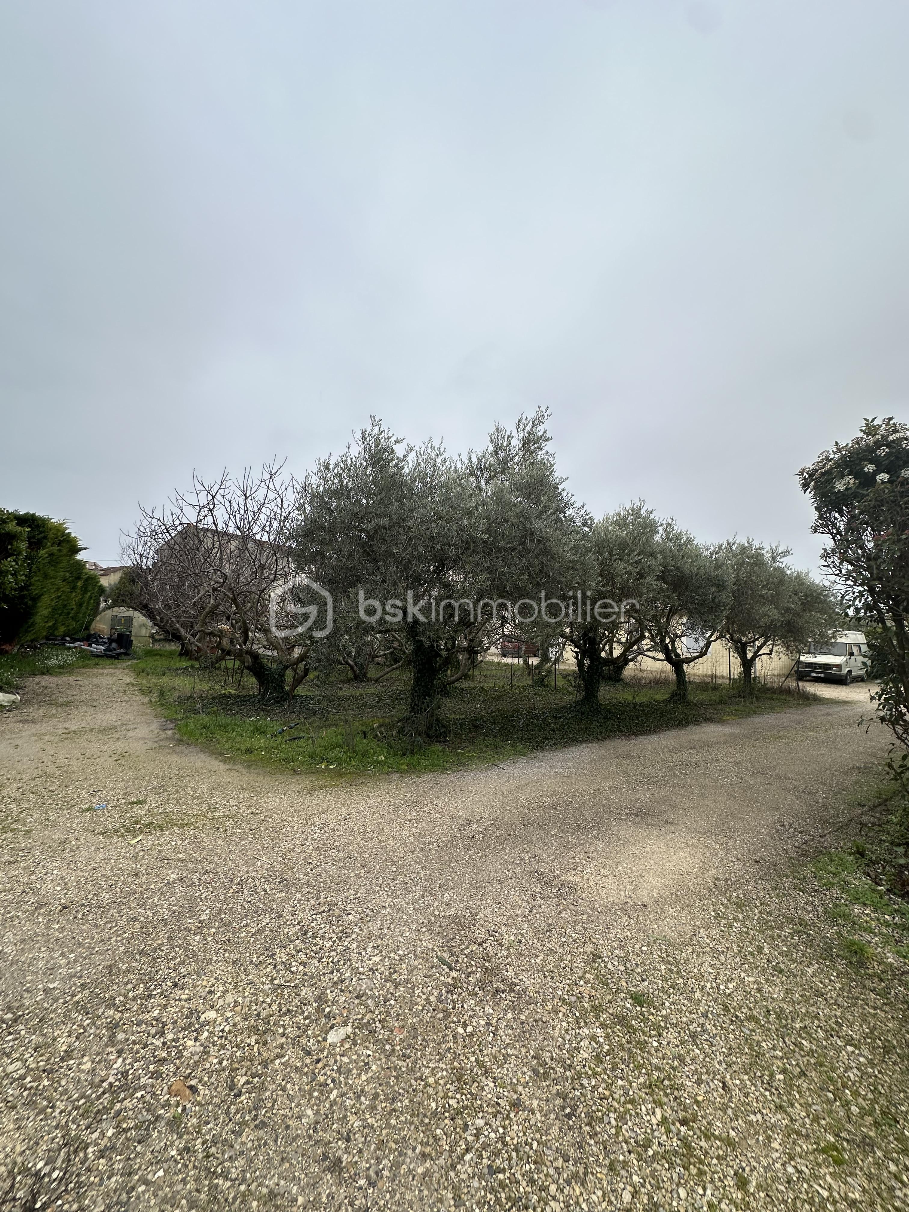 Lotissement de 861 m² - IMG_1341.jpeg