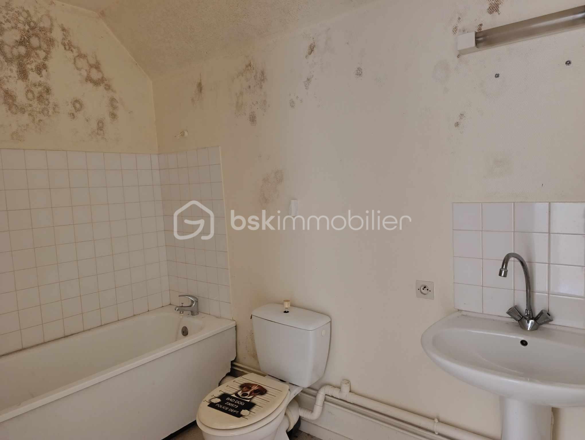 Immeuble mixte de 247,99 m² - 490981093_1299186951166444_6113579664735244889_n.jpg