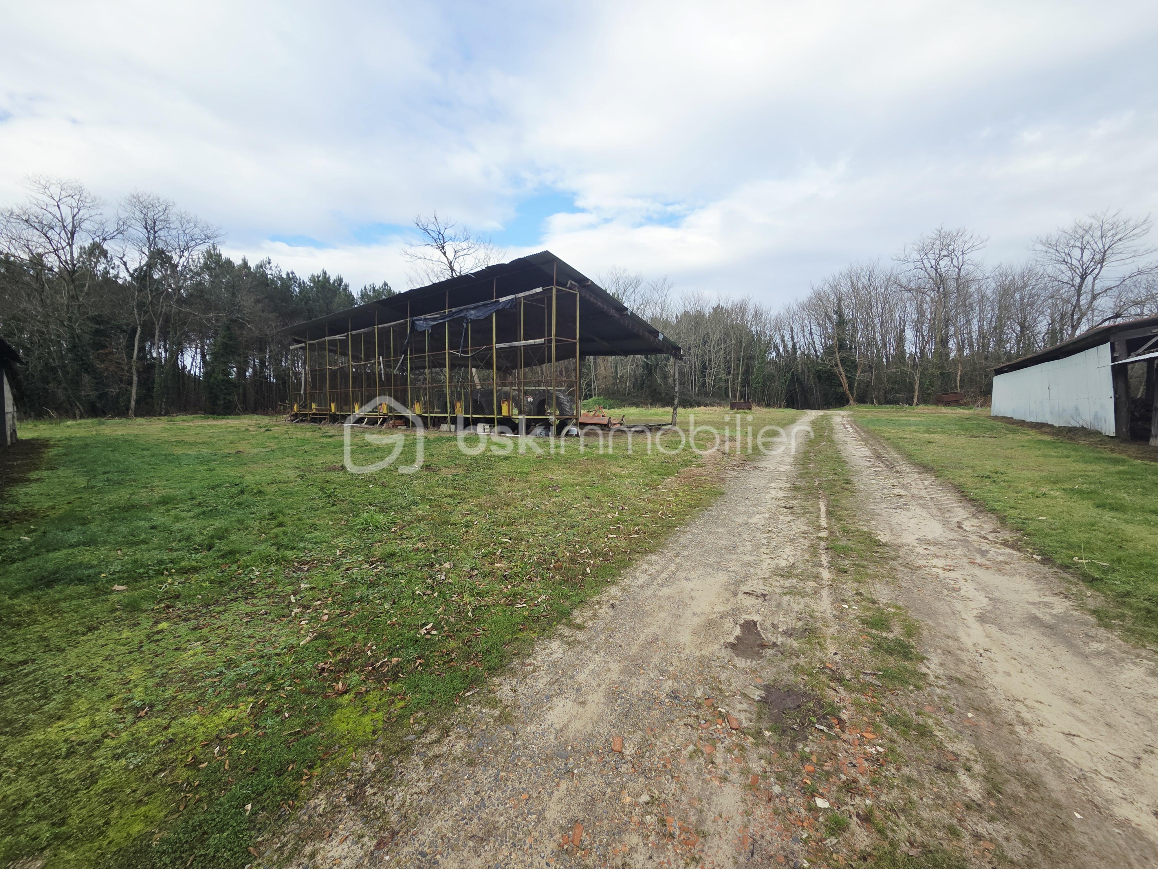 Maison de 170 m² - 20251215_134004.jpg