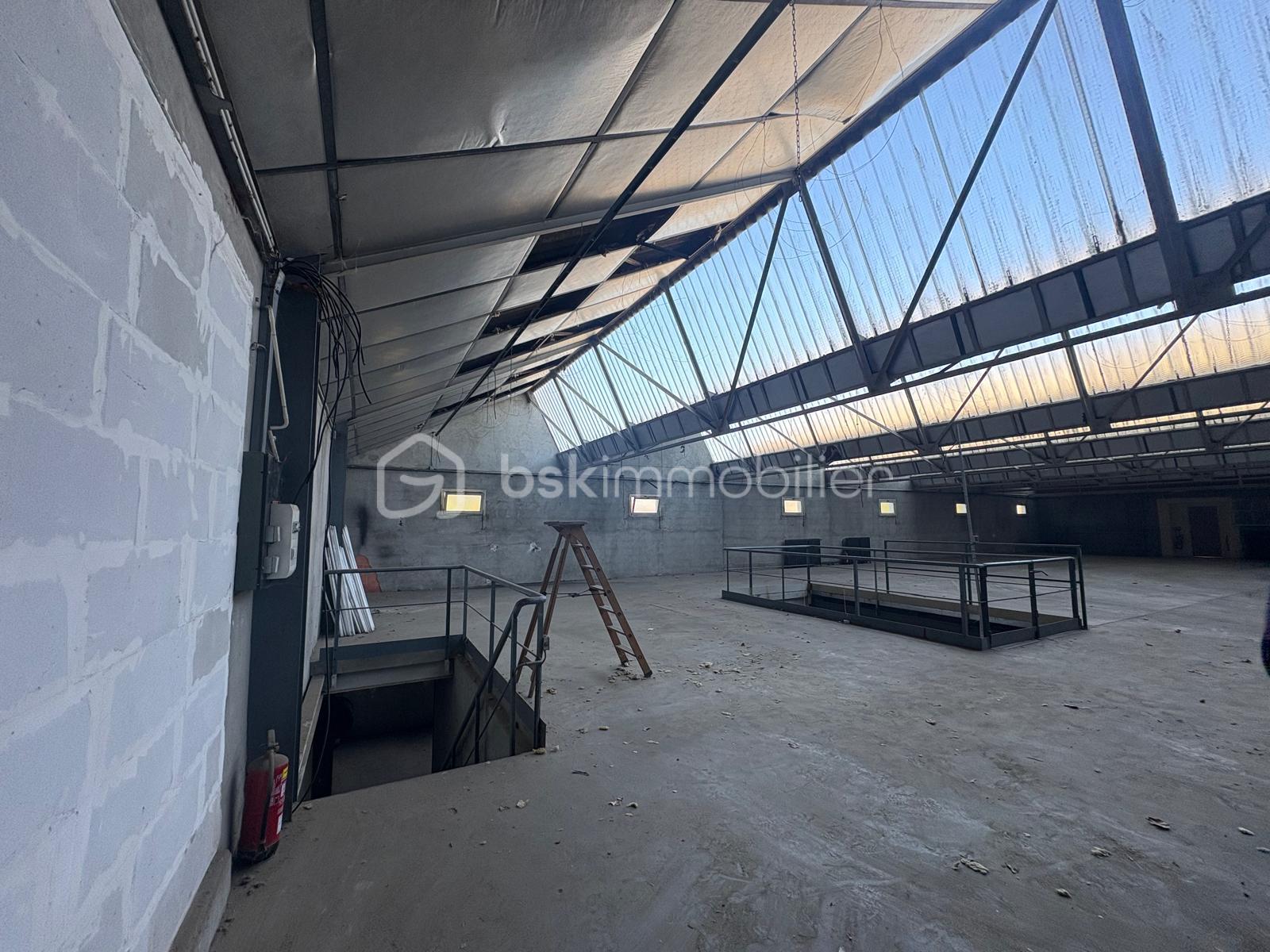 WhatsApp Image 2026-02-26 at 12.48.51 (17).jpeg