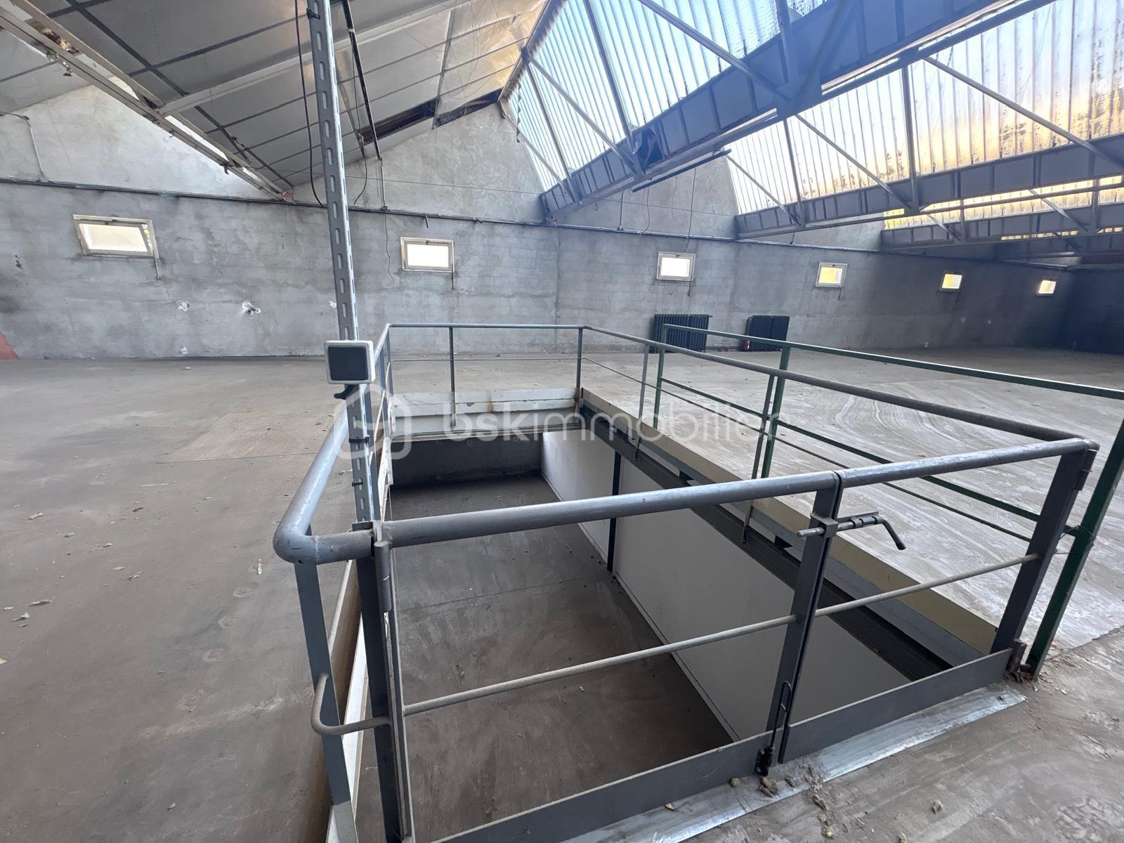 WhatsApp Image 2026-02-26 at 12.48.51 (20).jpeg