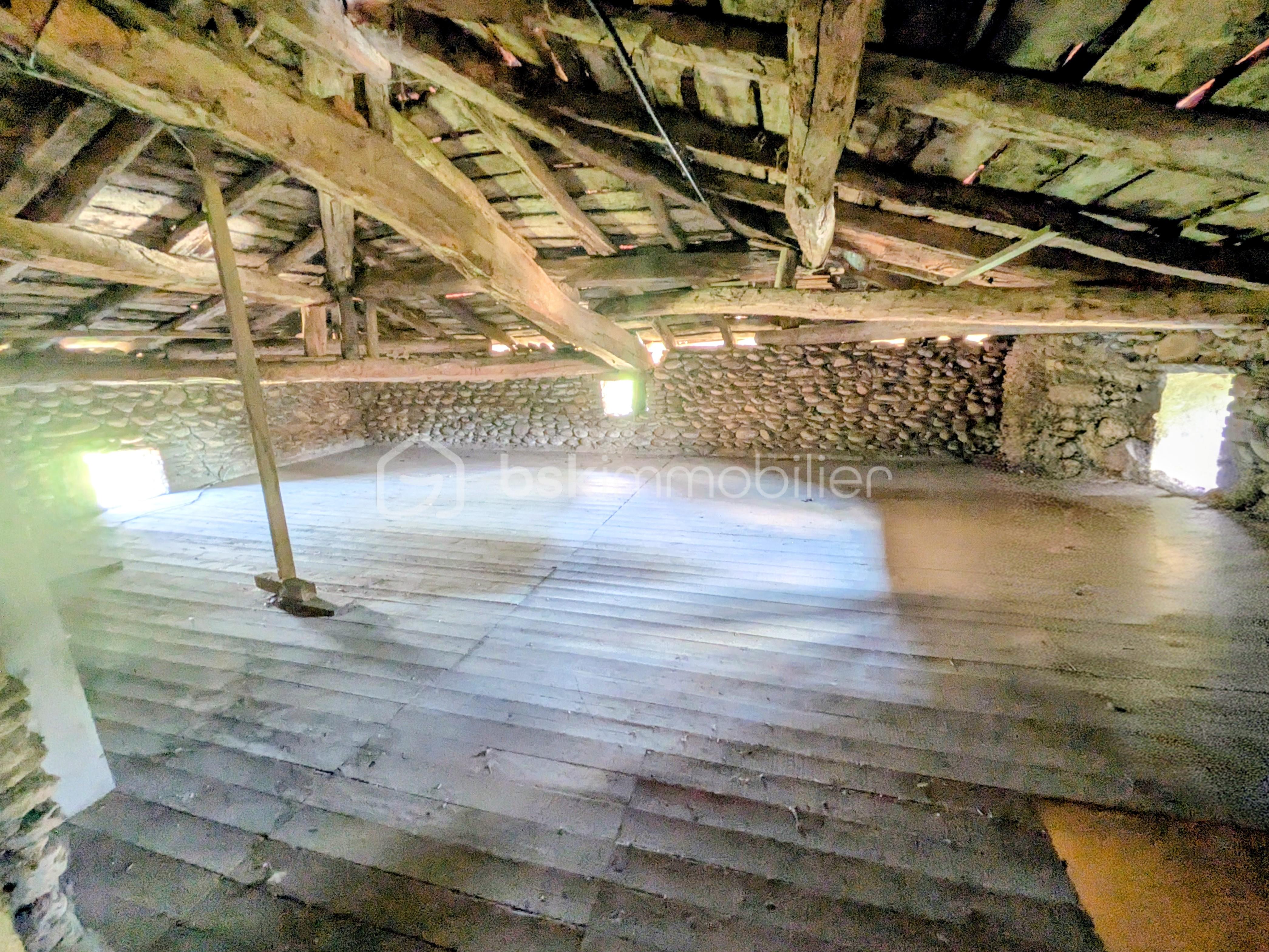 PXL_20260701_135450725~2.jpg