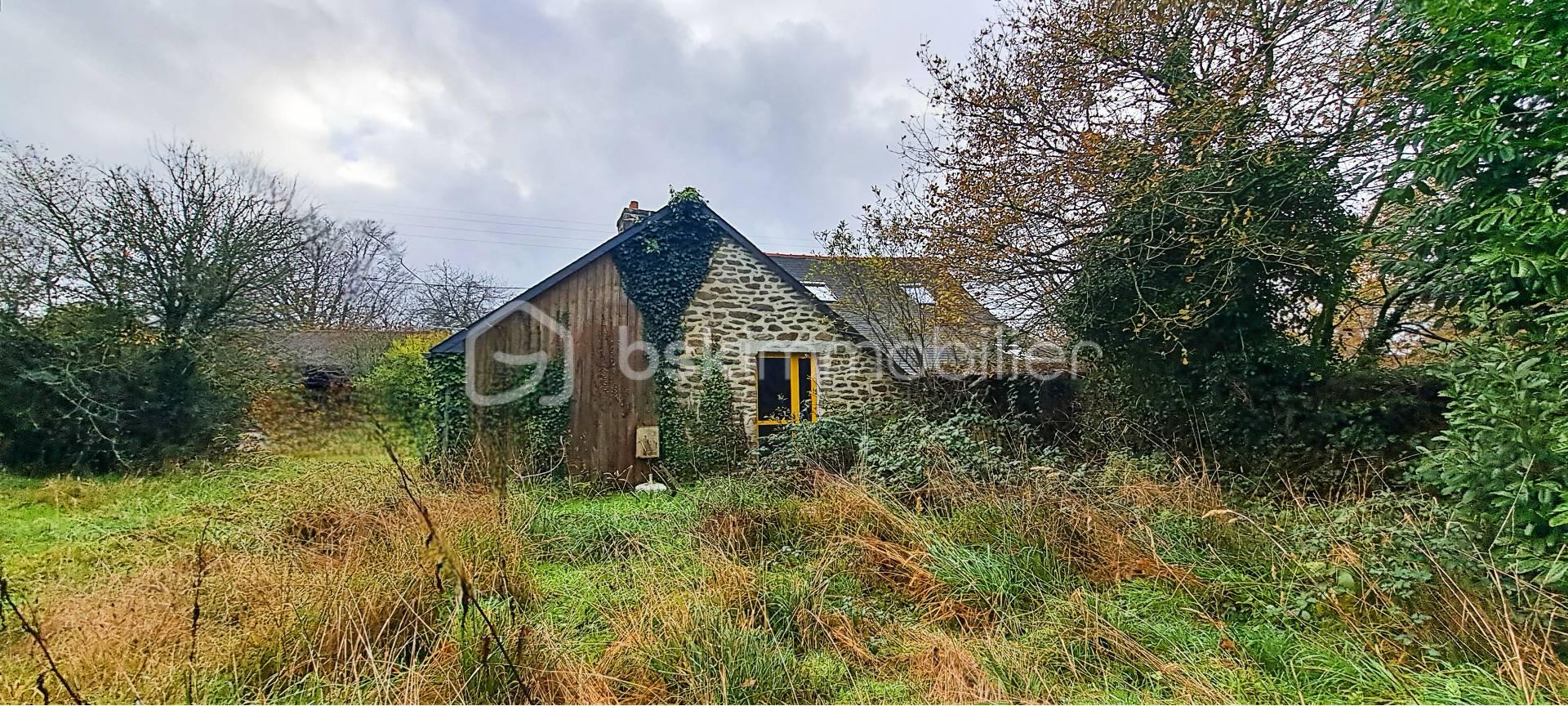 Maison en pierre de 98 m² - façade arrière.jpg