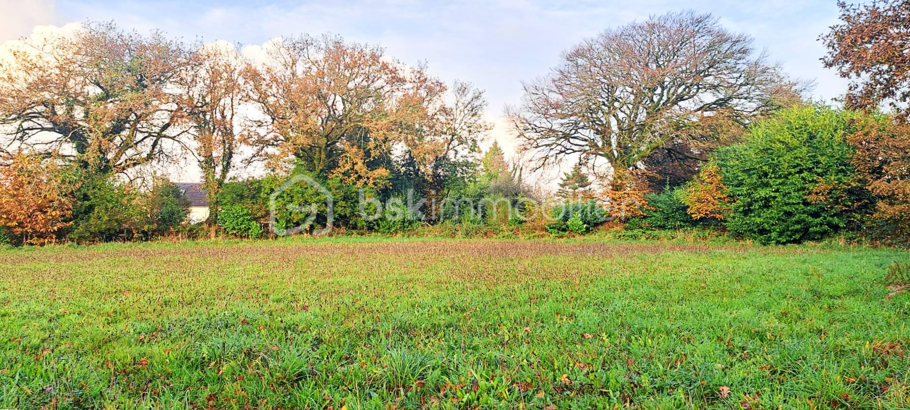 Maison en pierre de 98 m² - terrain.jpg