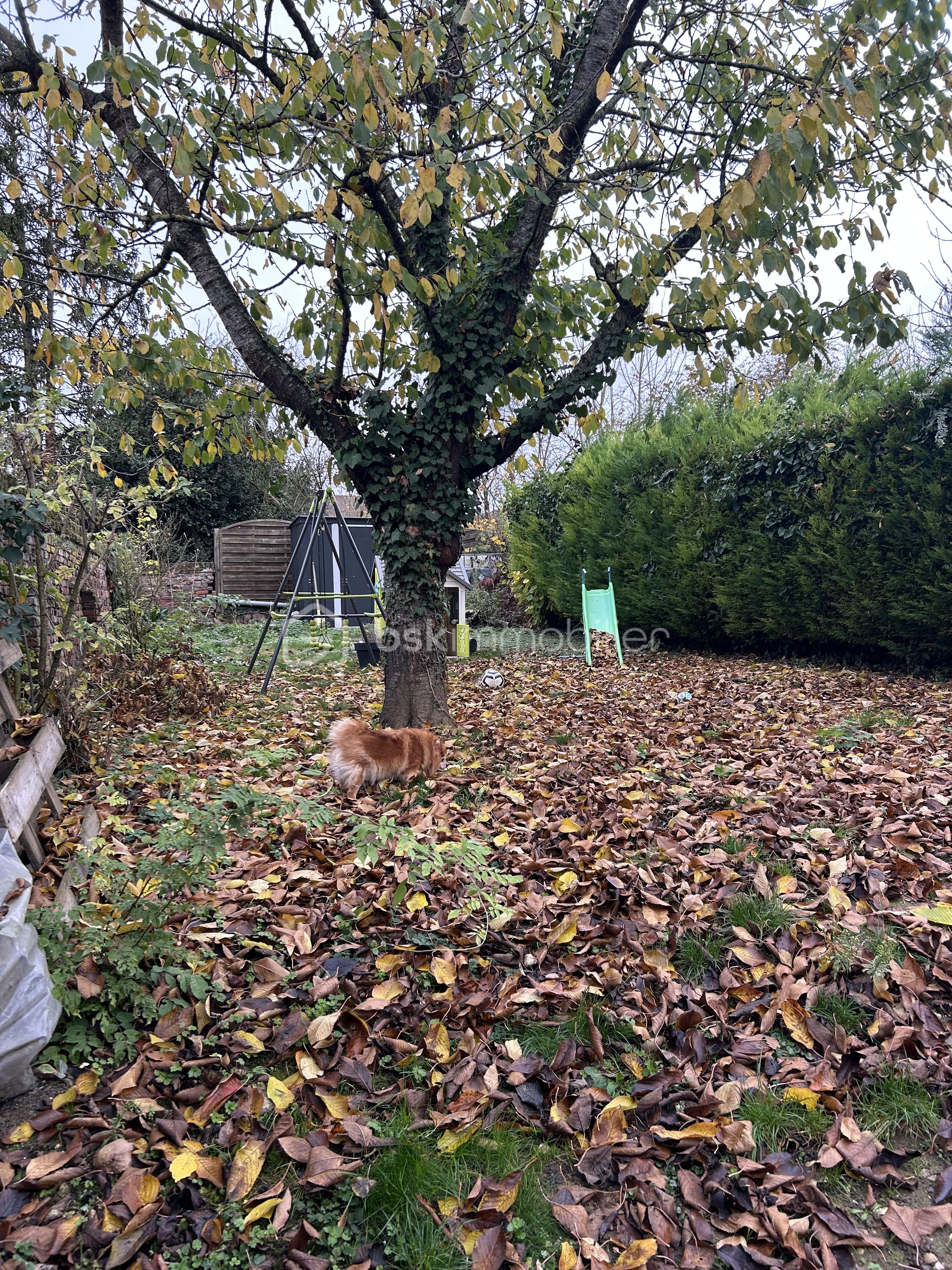 Maison de 75 m² - IMG_4648.JPEG