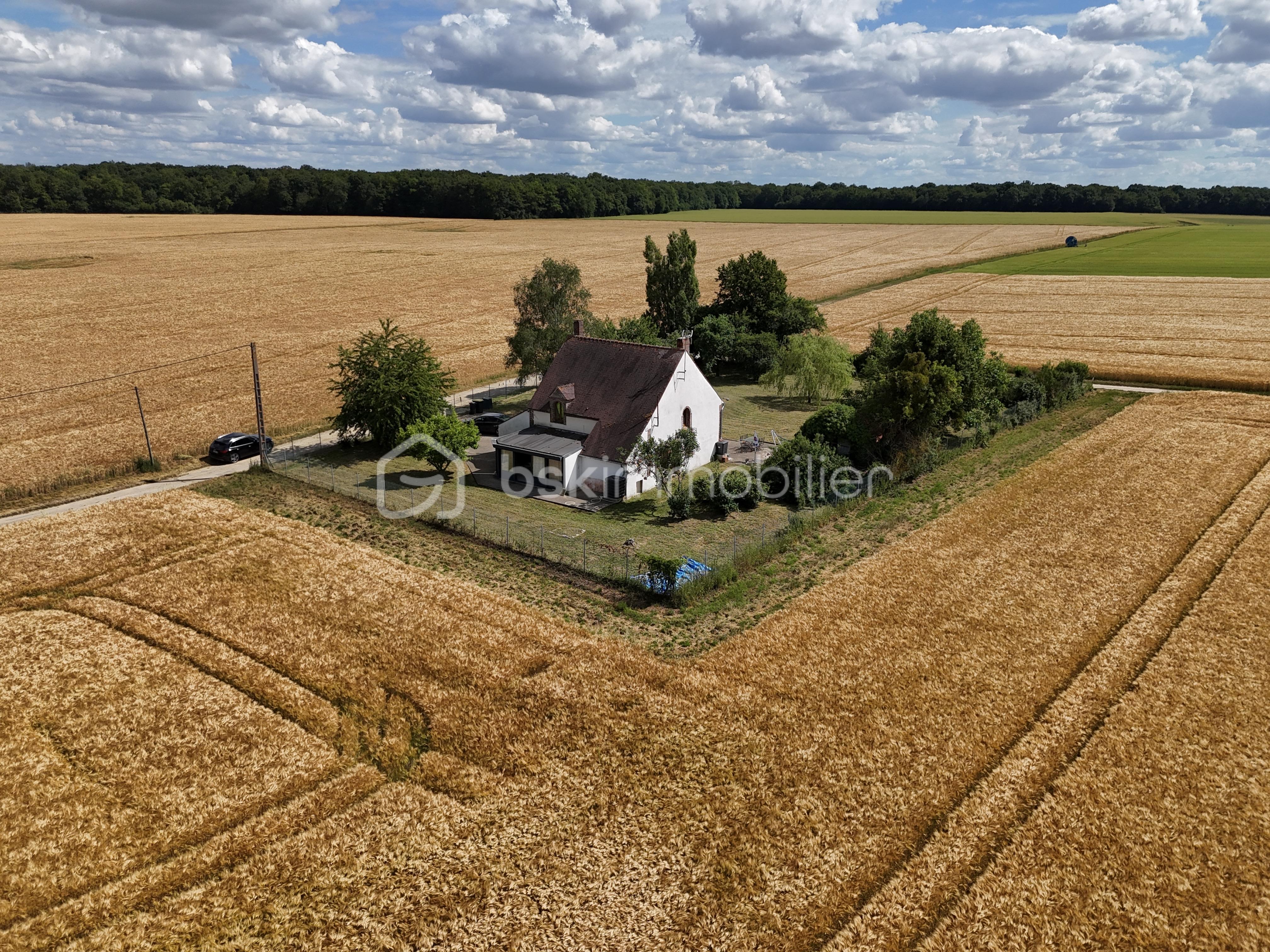 dji_fly_20260601_162212_0118_1780323856469_photo.jpg