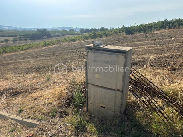Terrain de 1 109 m² - IMG_4026.JPG