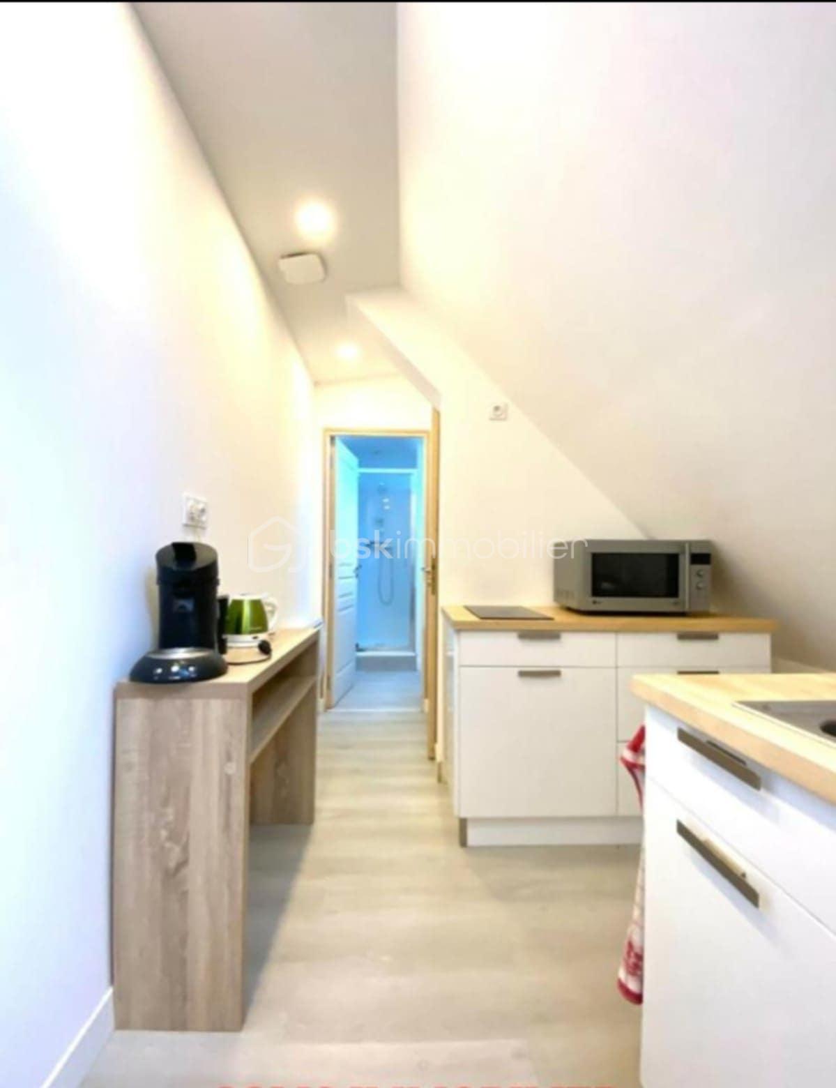 Appartement de 33,18 m² - 5538c799-843d-4705-a135-78b21a0961b0.jpg