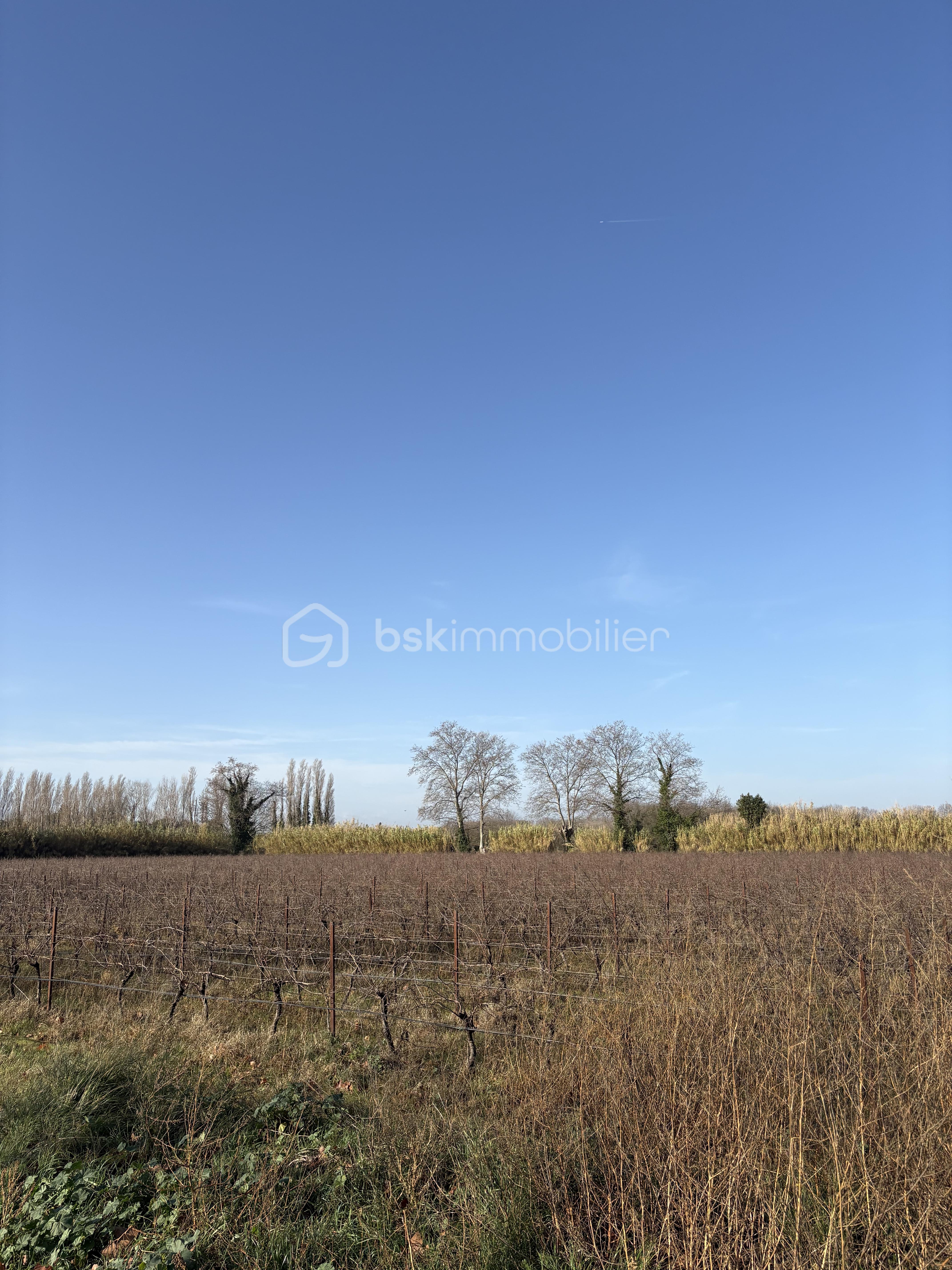 Terrain agricole de 35 235 m² - IMG_8073.jpeg