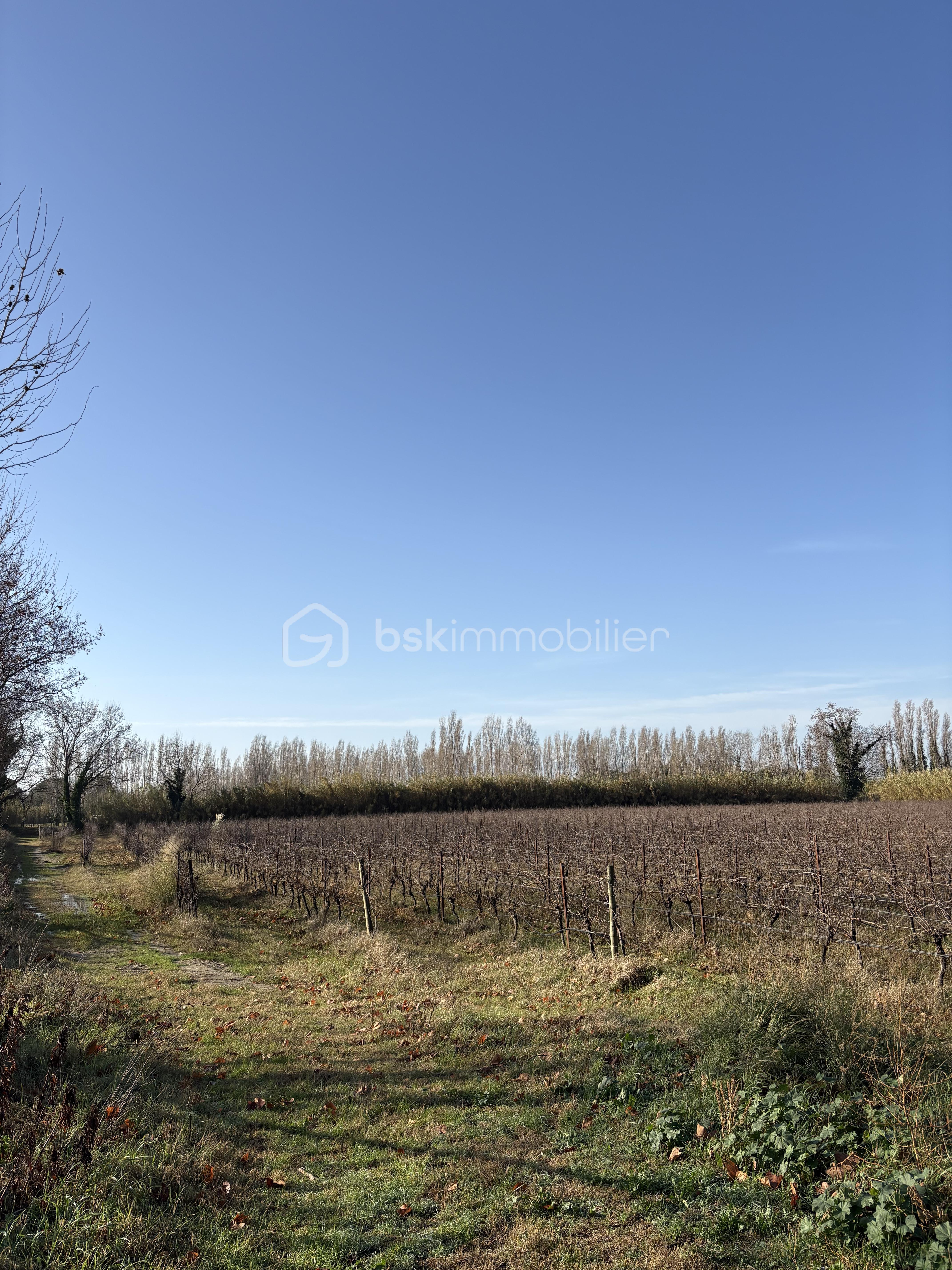 Terrain agricole de 35 235 m²