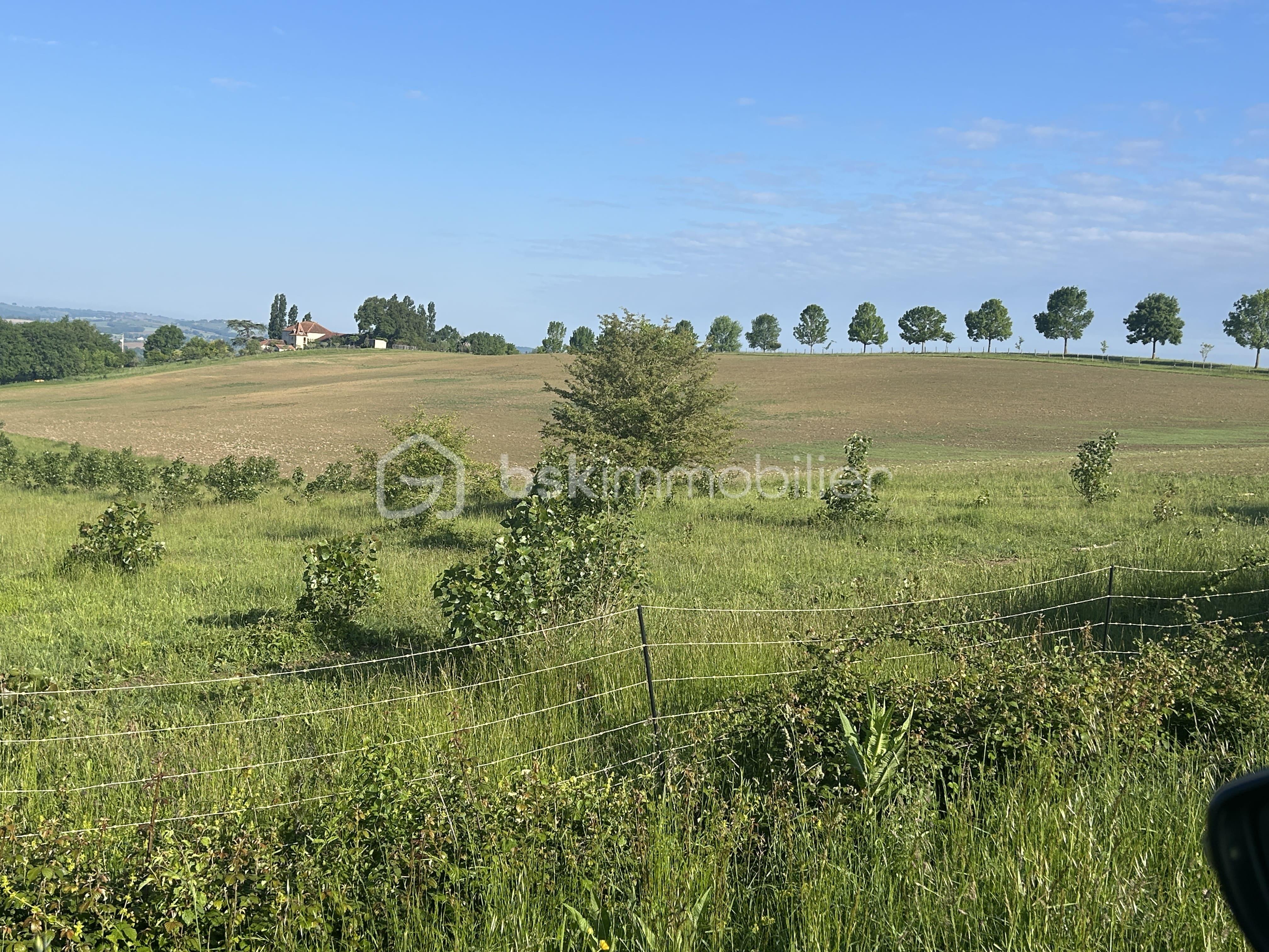 Maison de 885 m² - IMG_1854.jpg