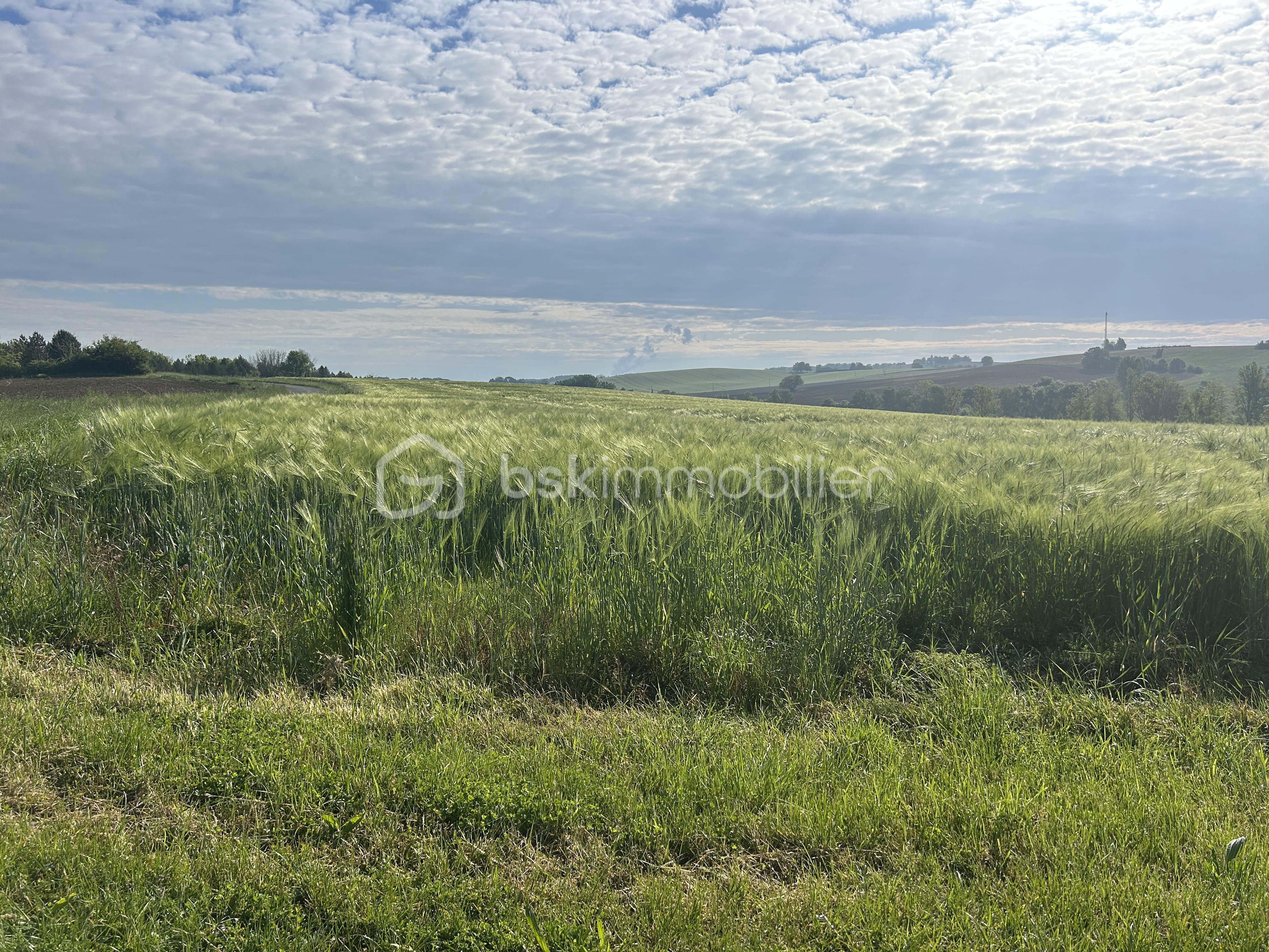 Maison de 885 m² - IMG_1853.JPG