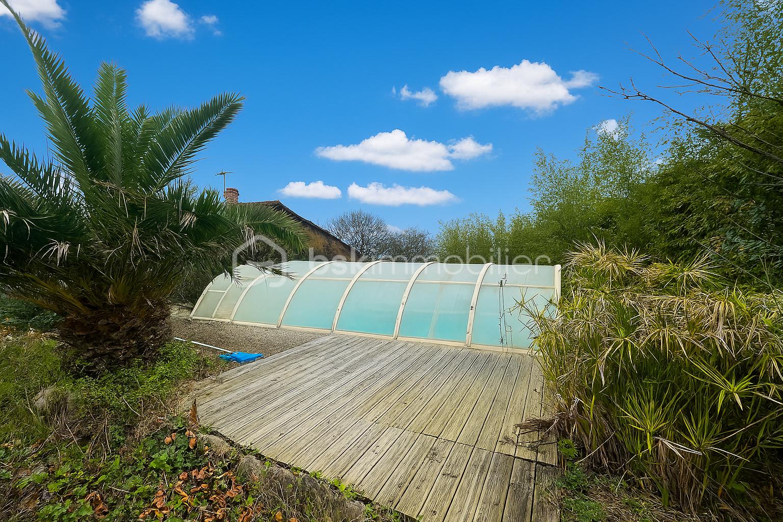 piscine.png