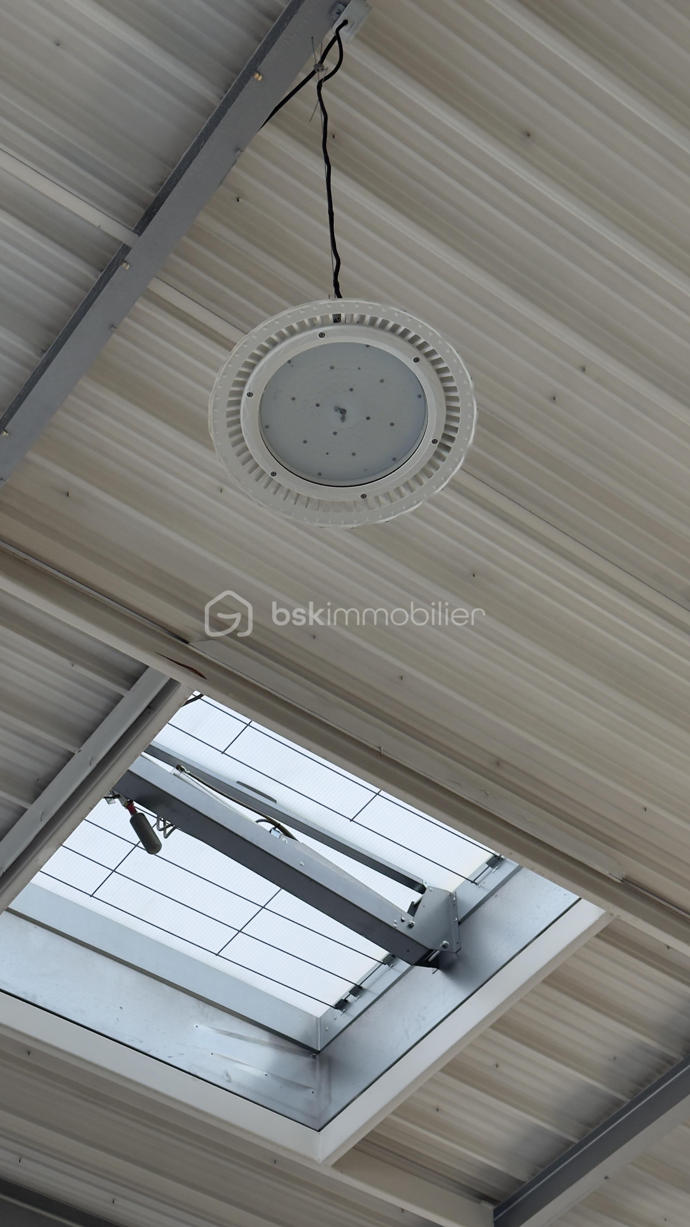 Local d'activités de 1 500 m² - IMG_2113.jpeg