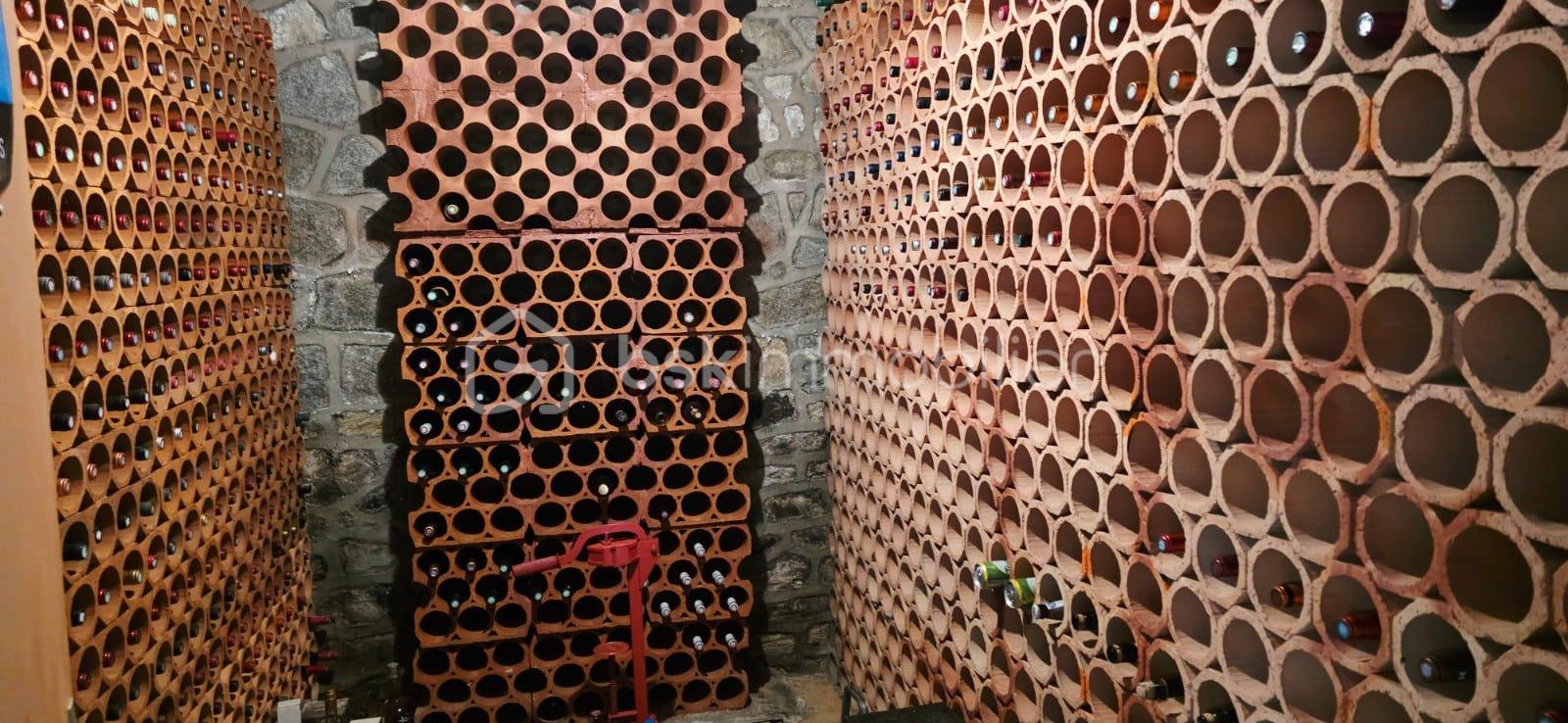 CAVE VIN.jpeg