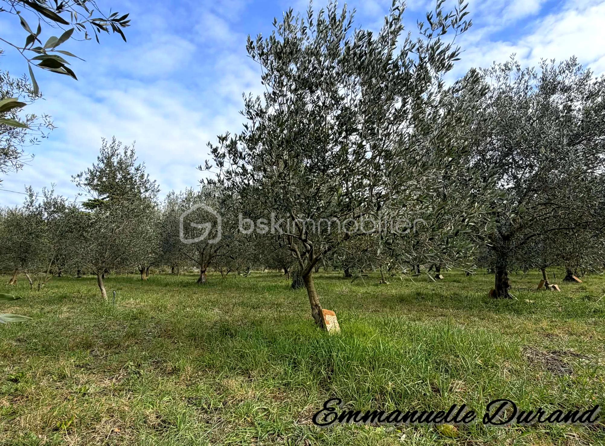 Ferme de 240 m² - 15 a.jpg