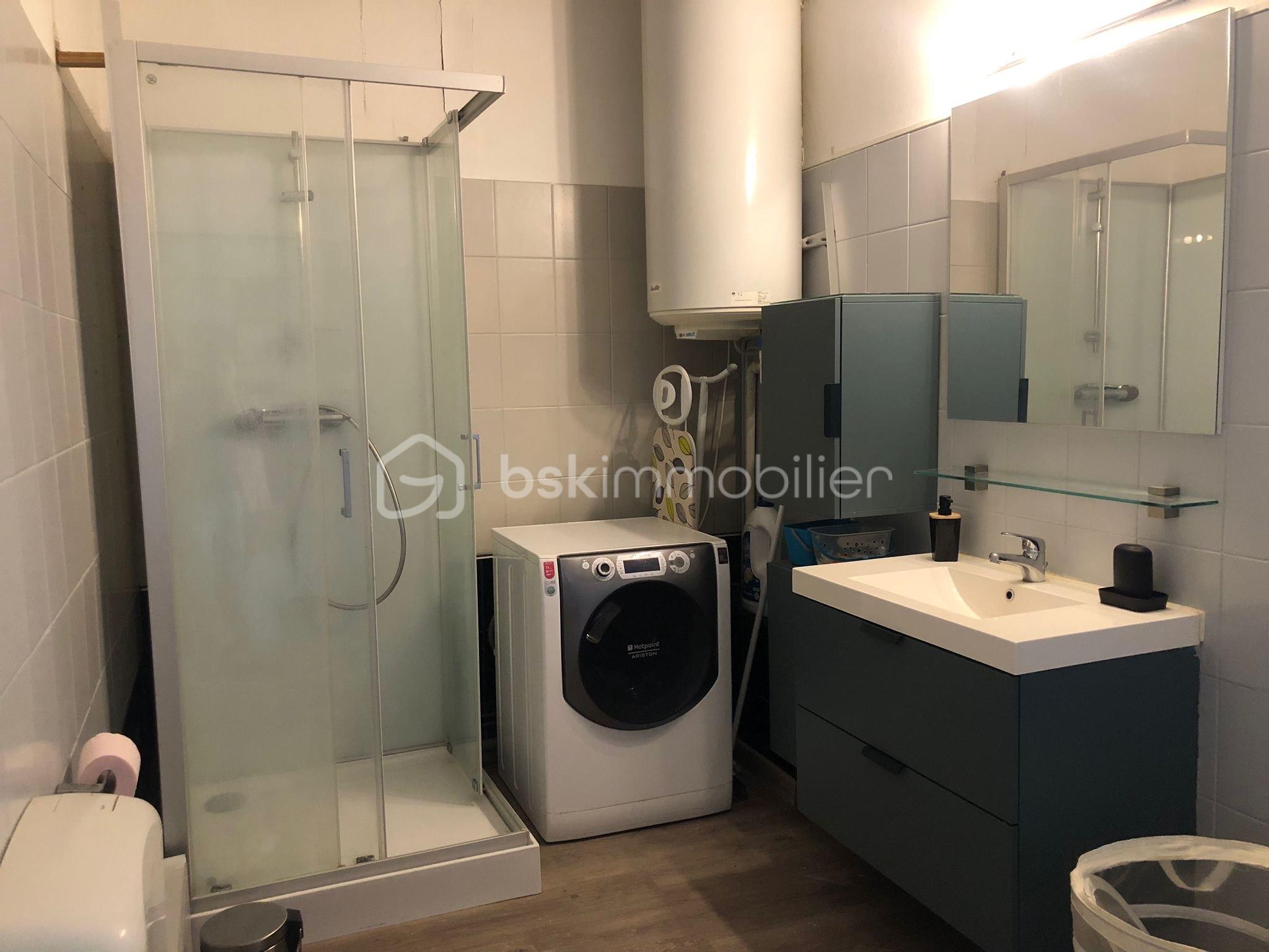 Appartement de 54 m² - Photo SDB.jpeg