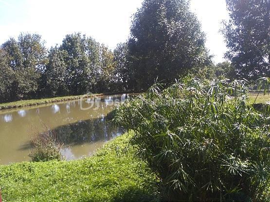 Maison ancienne de 145,47 m² - PAILLAT FORET 2.jpeg