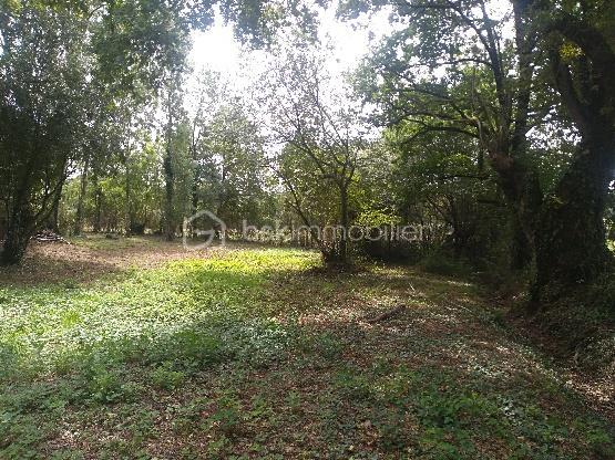 Maison ancienne de 145,47 m² - PAILLAT FORET.jpeg
