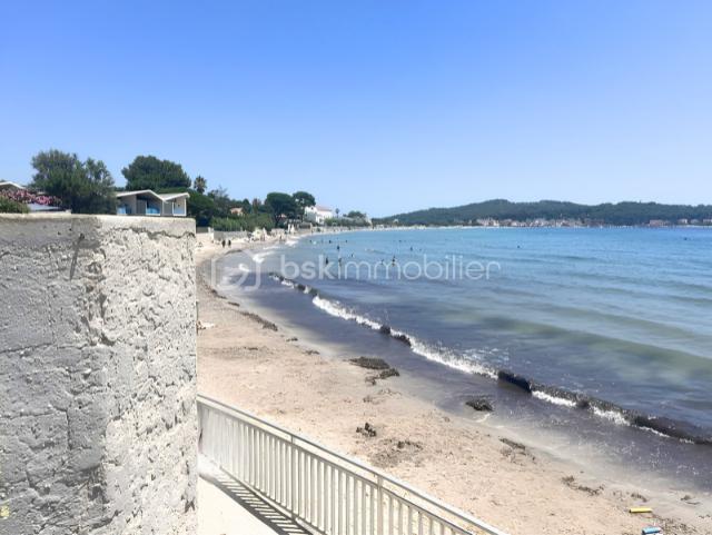 plage-1.png