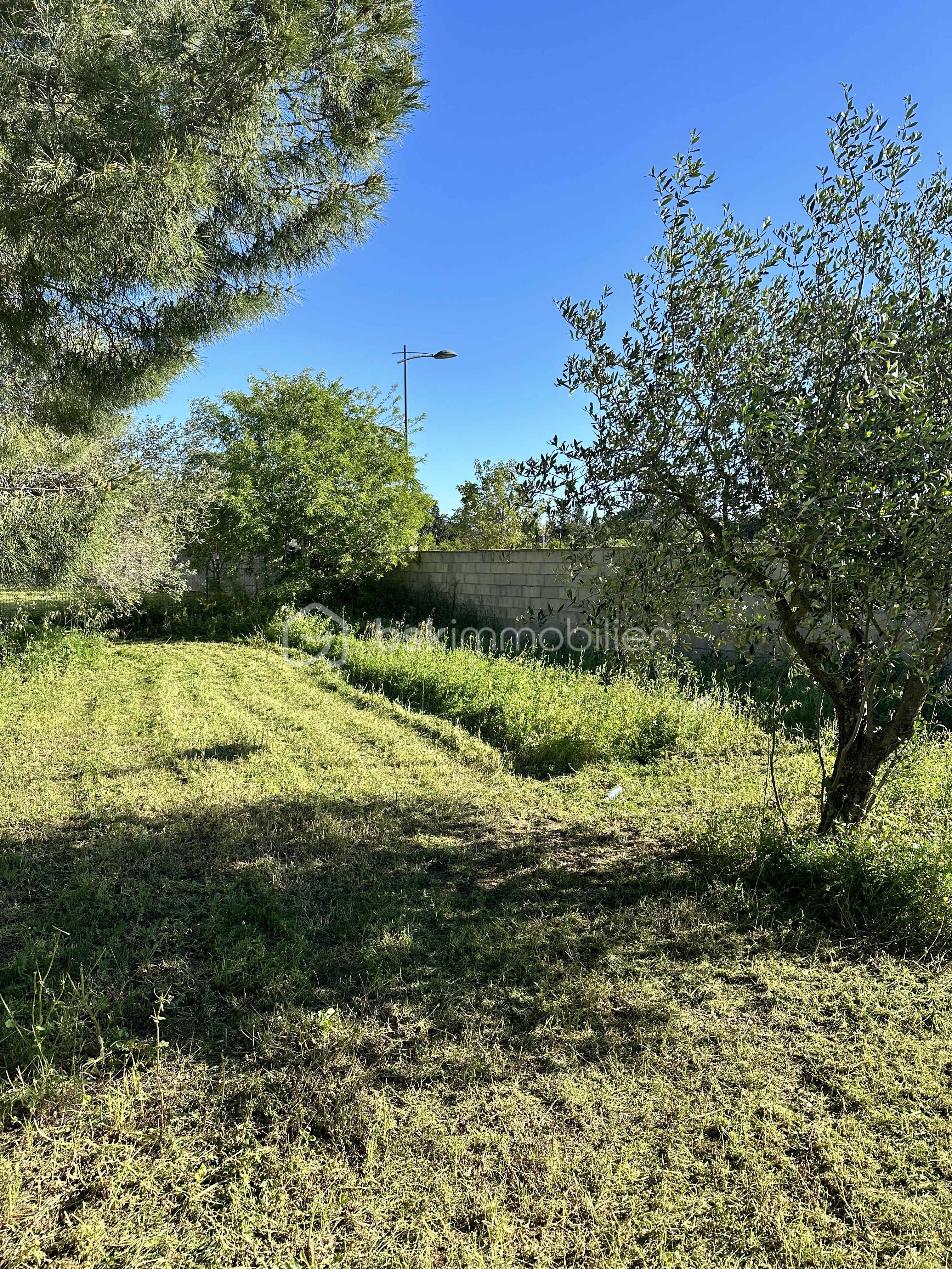 Terrain de 258 m² - IMG_2914 2.JPG